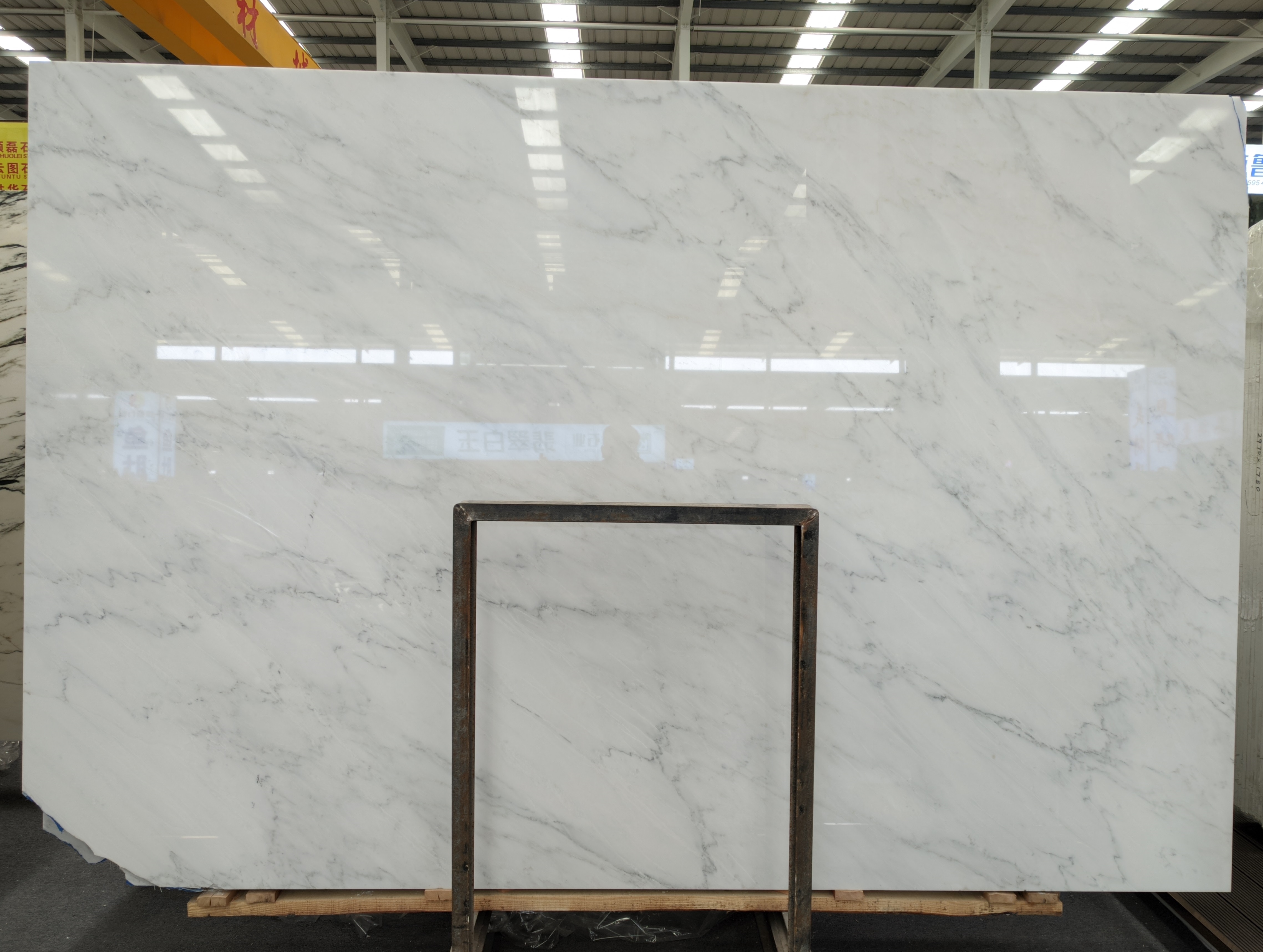 Eastern White