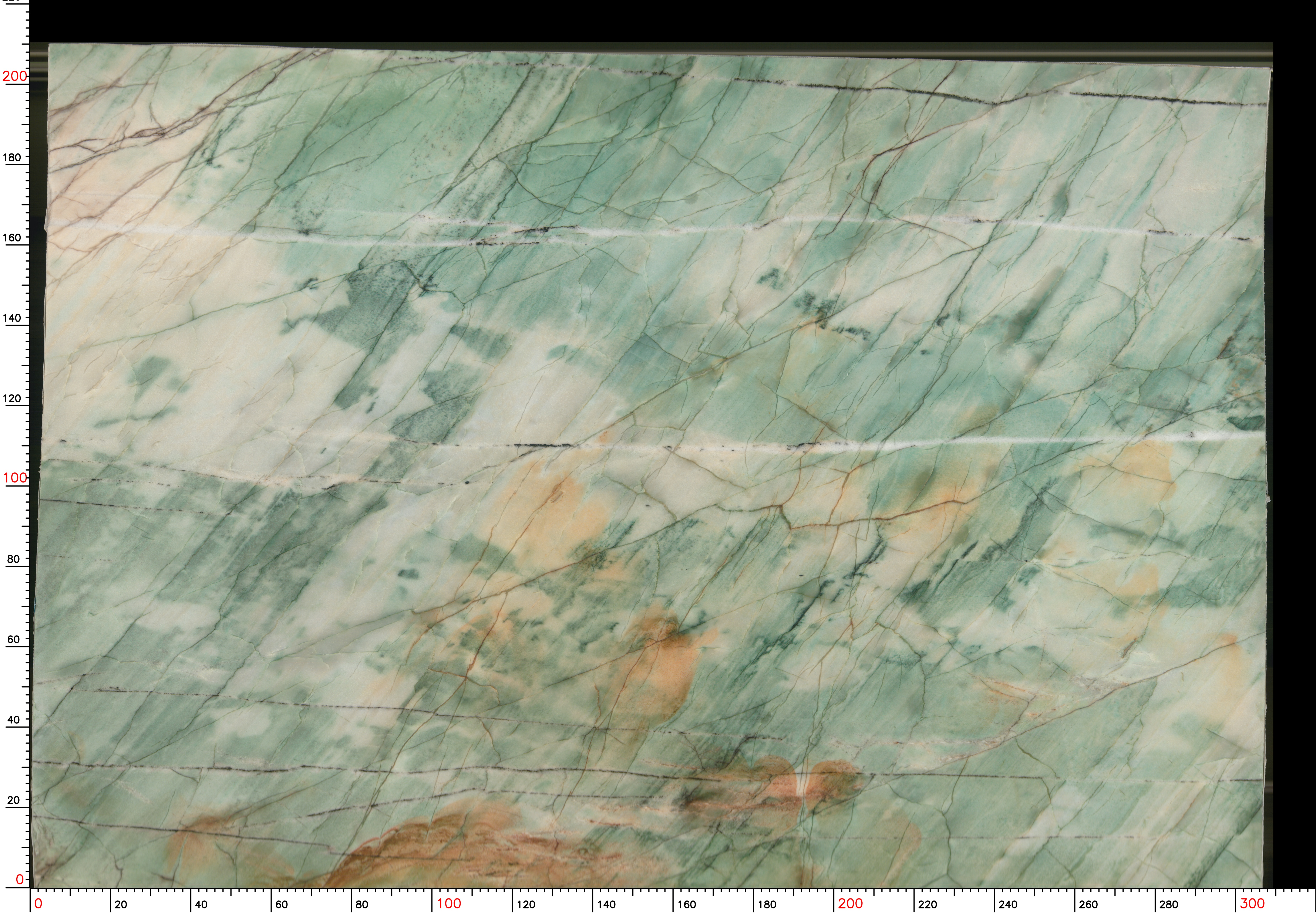 Da Vinci Green - фото 1
