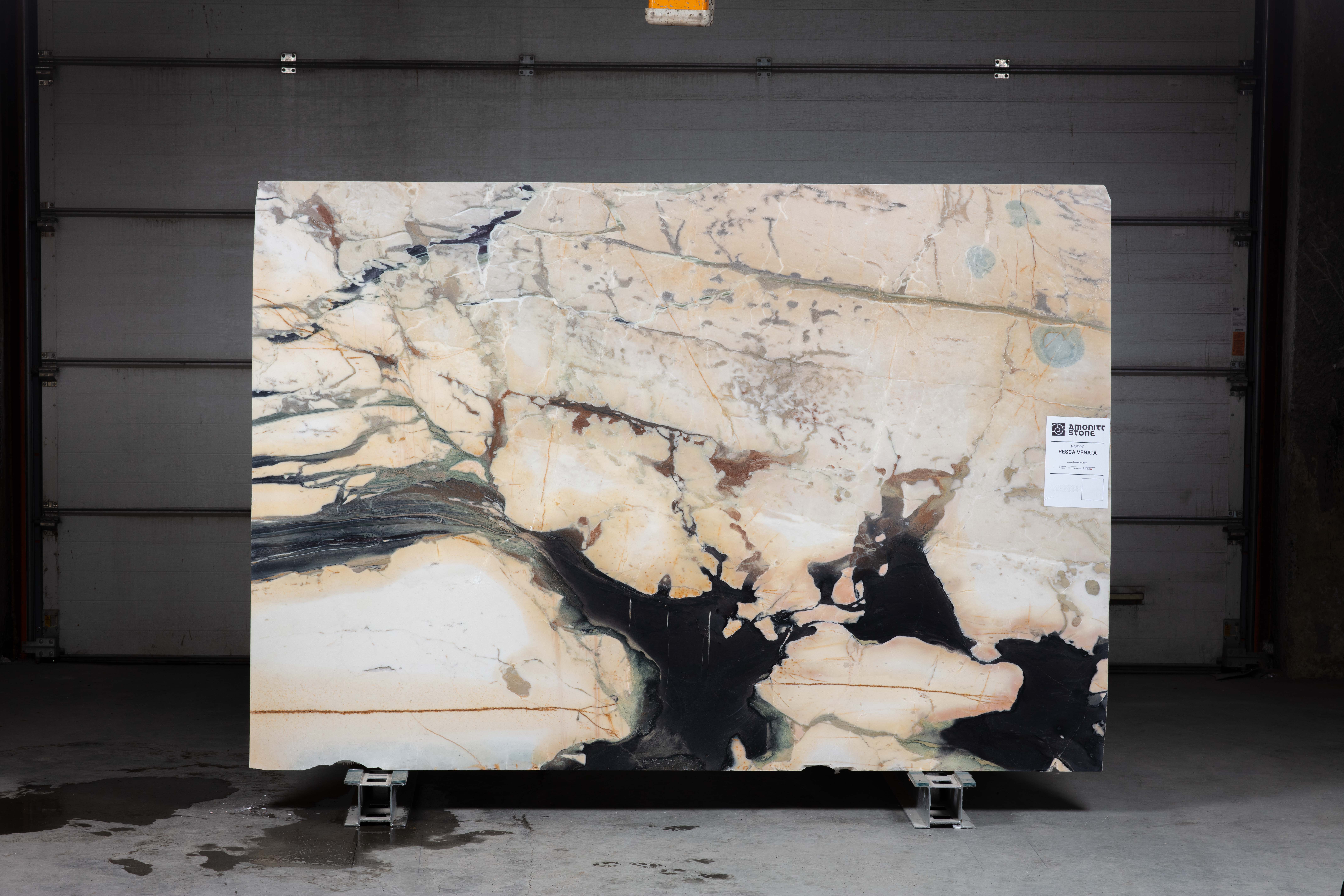 PESCA VENATA - фото 1