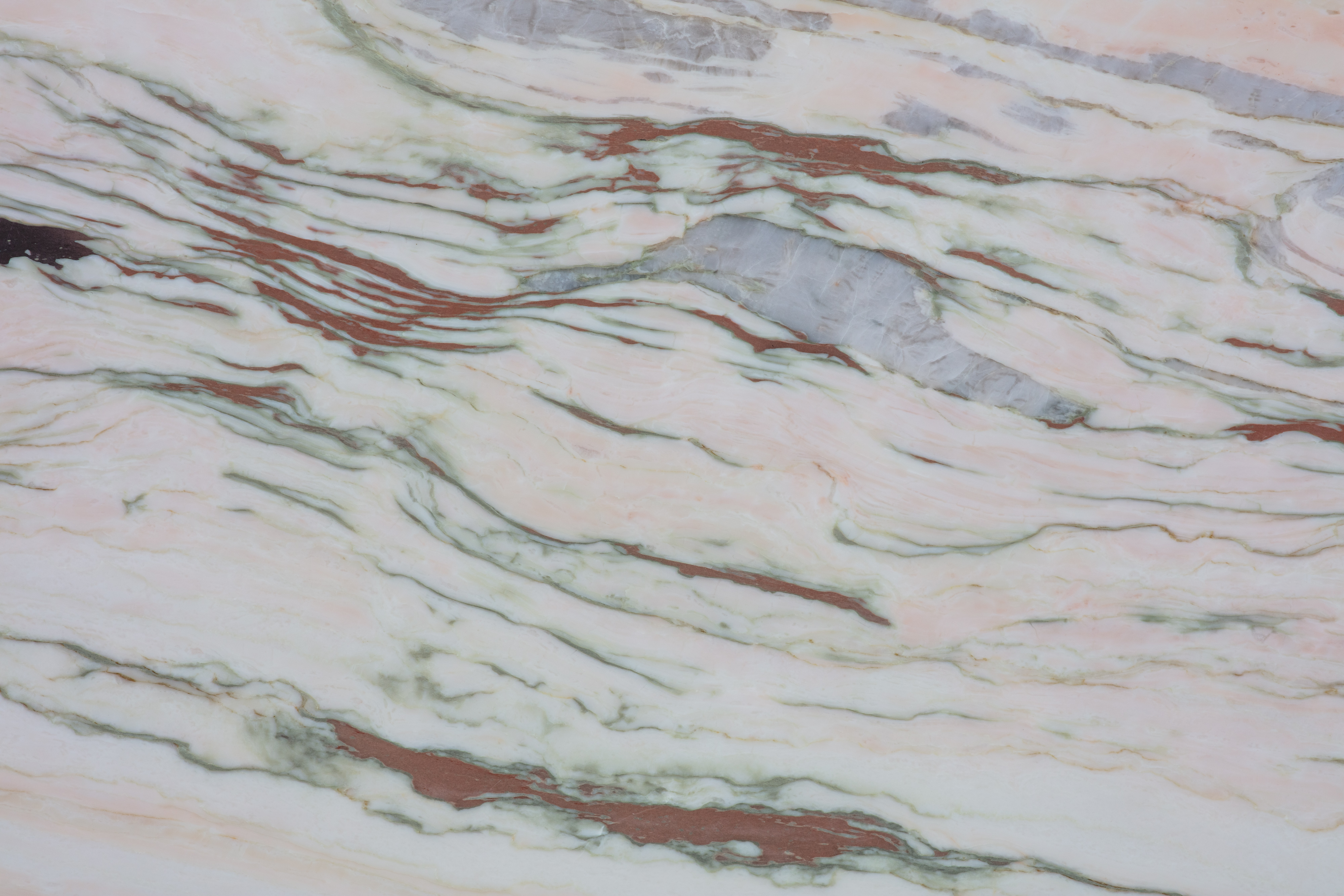 SUPER BULGARY - фото 4