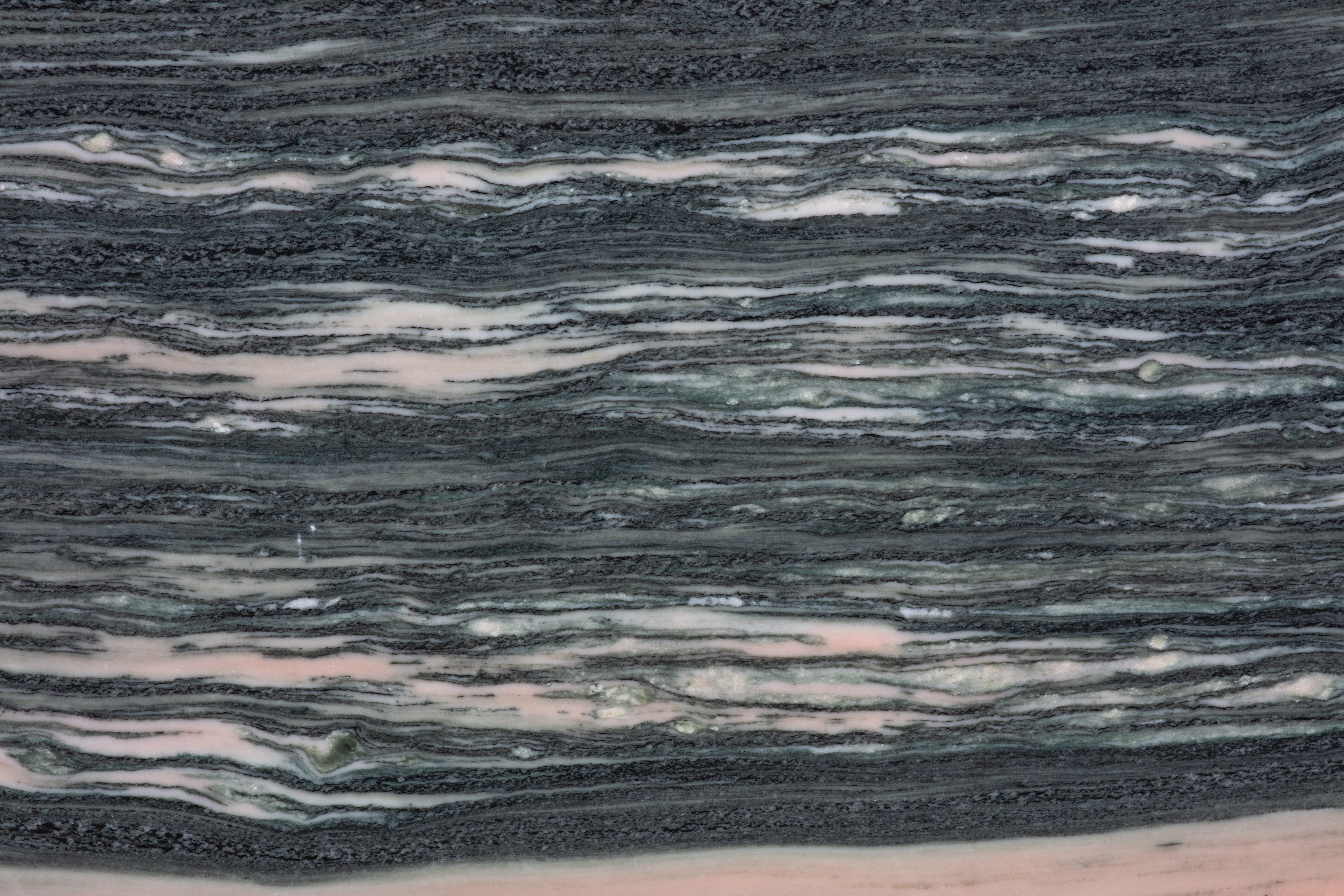 PINK WAVE - фото 8