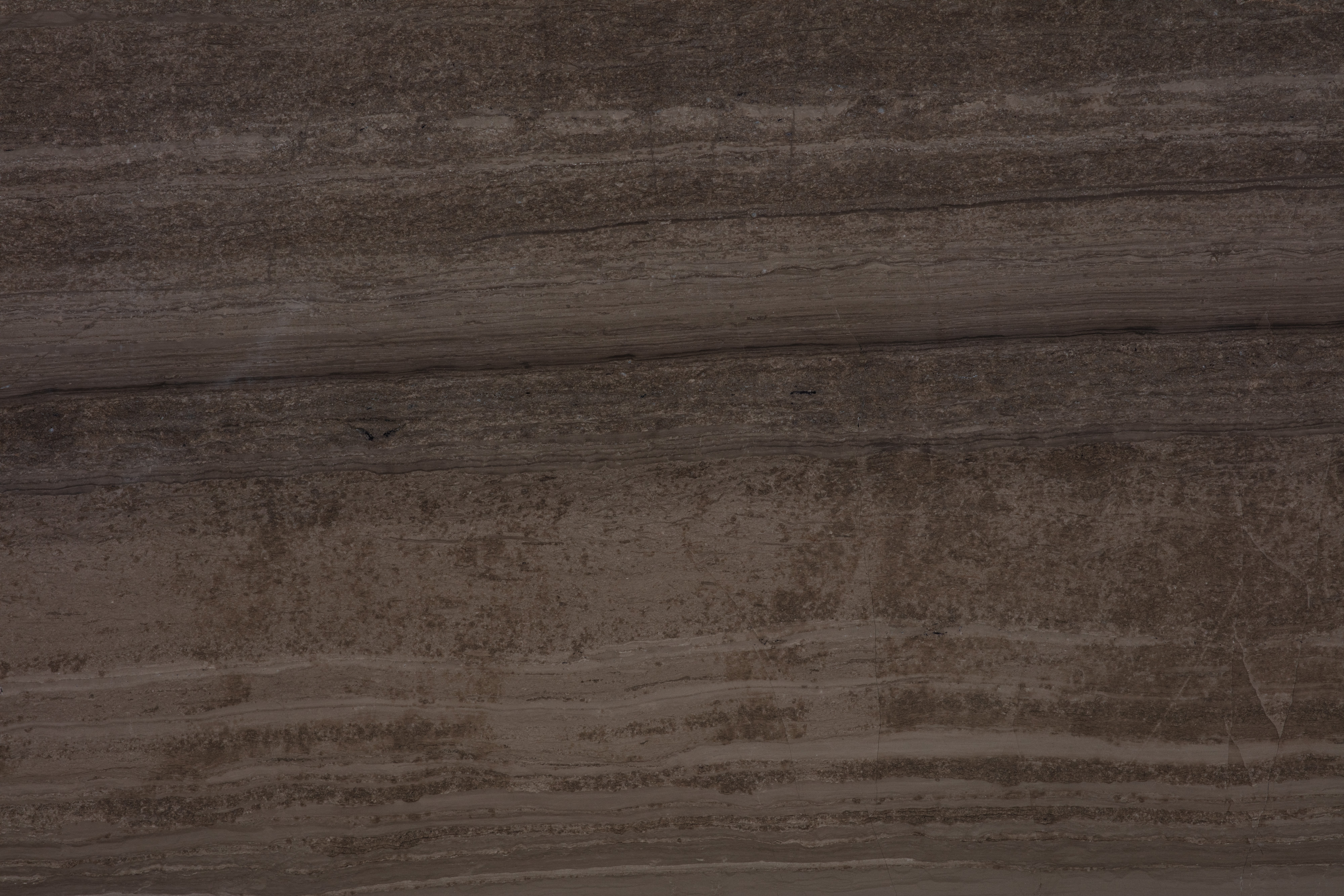 COFFE WOOD - фото 5