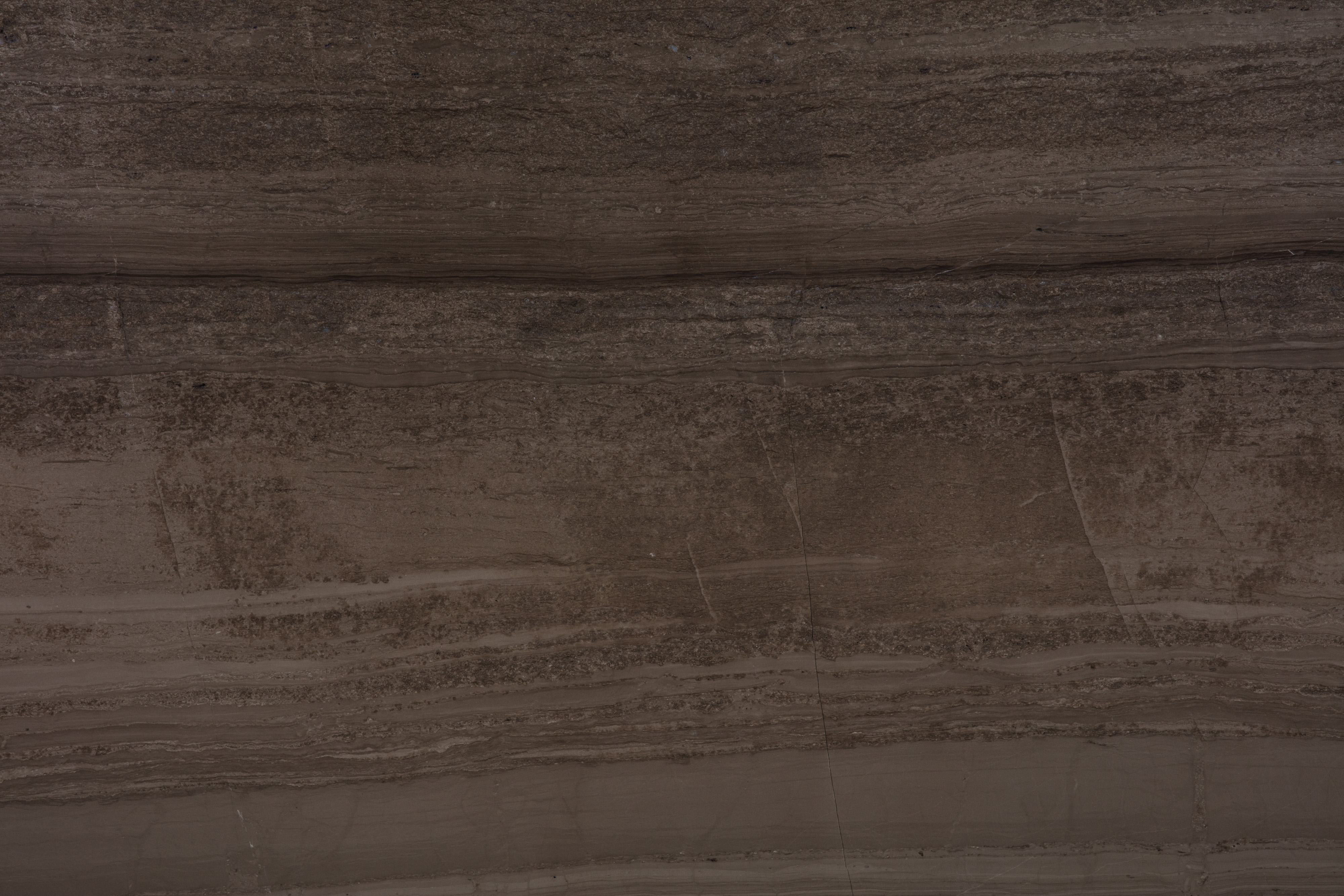 COFFE WOOD - фото 2