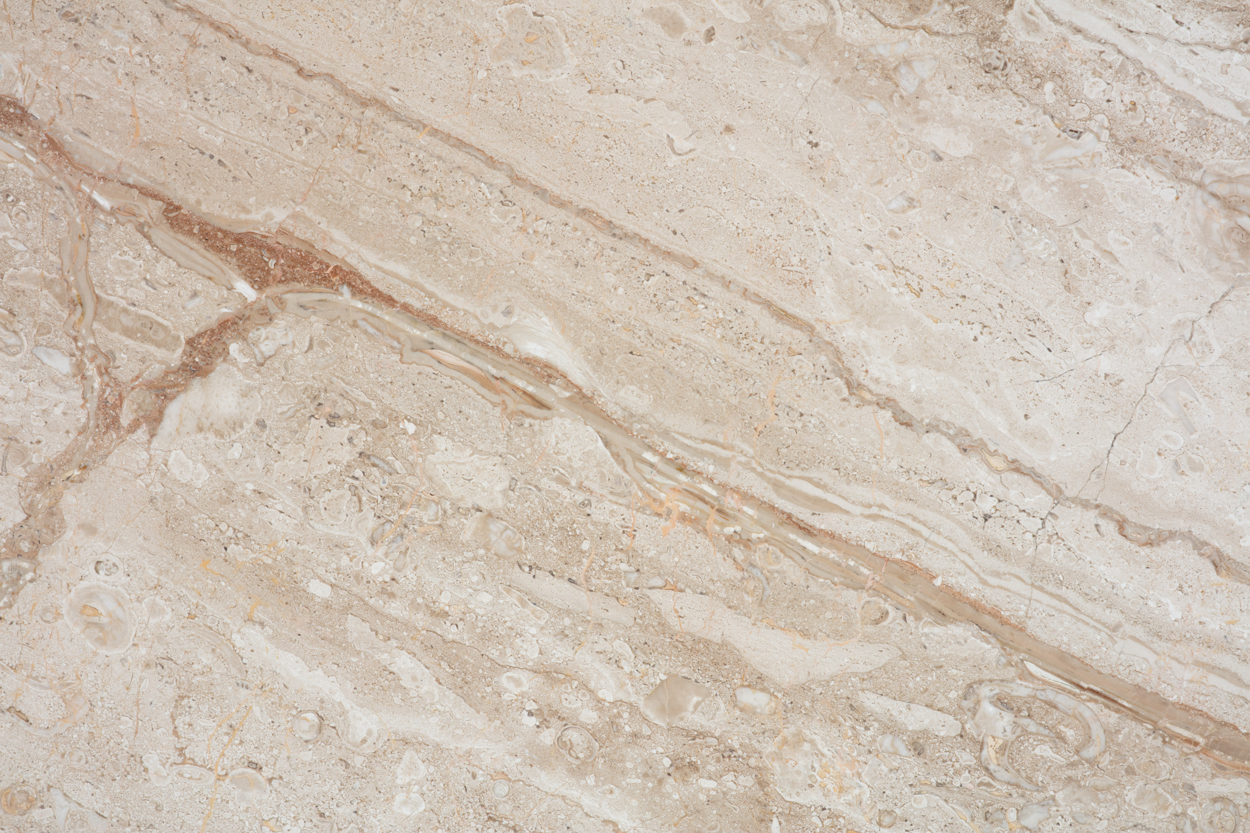 DAINO REALE - фото 3