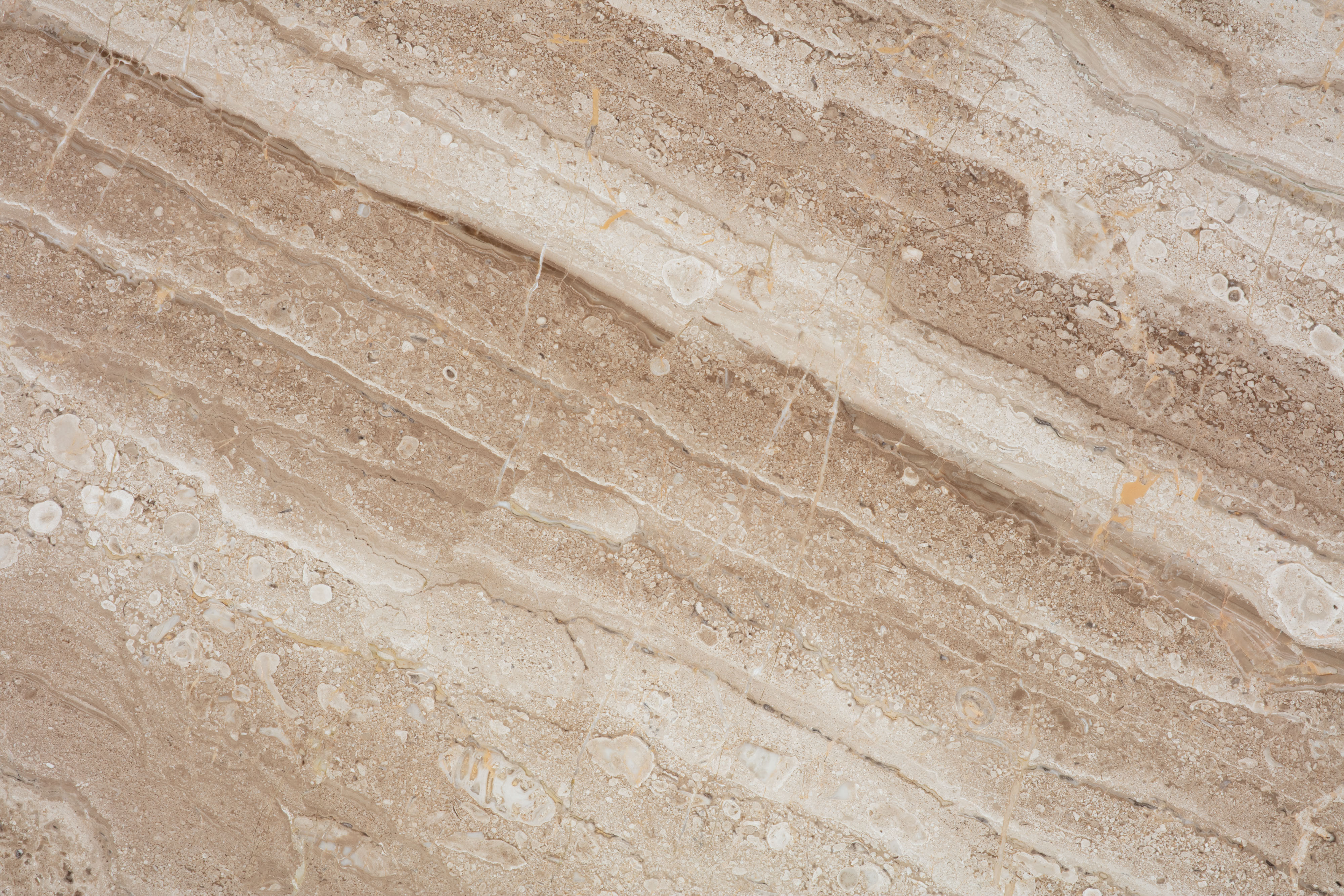 DAINO REALE - фото 5