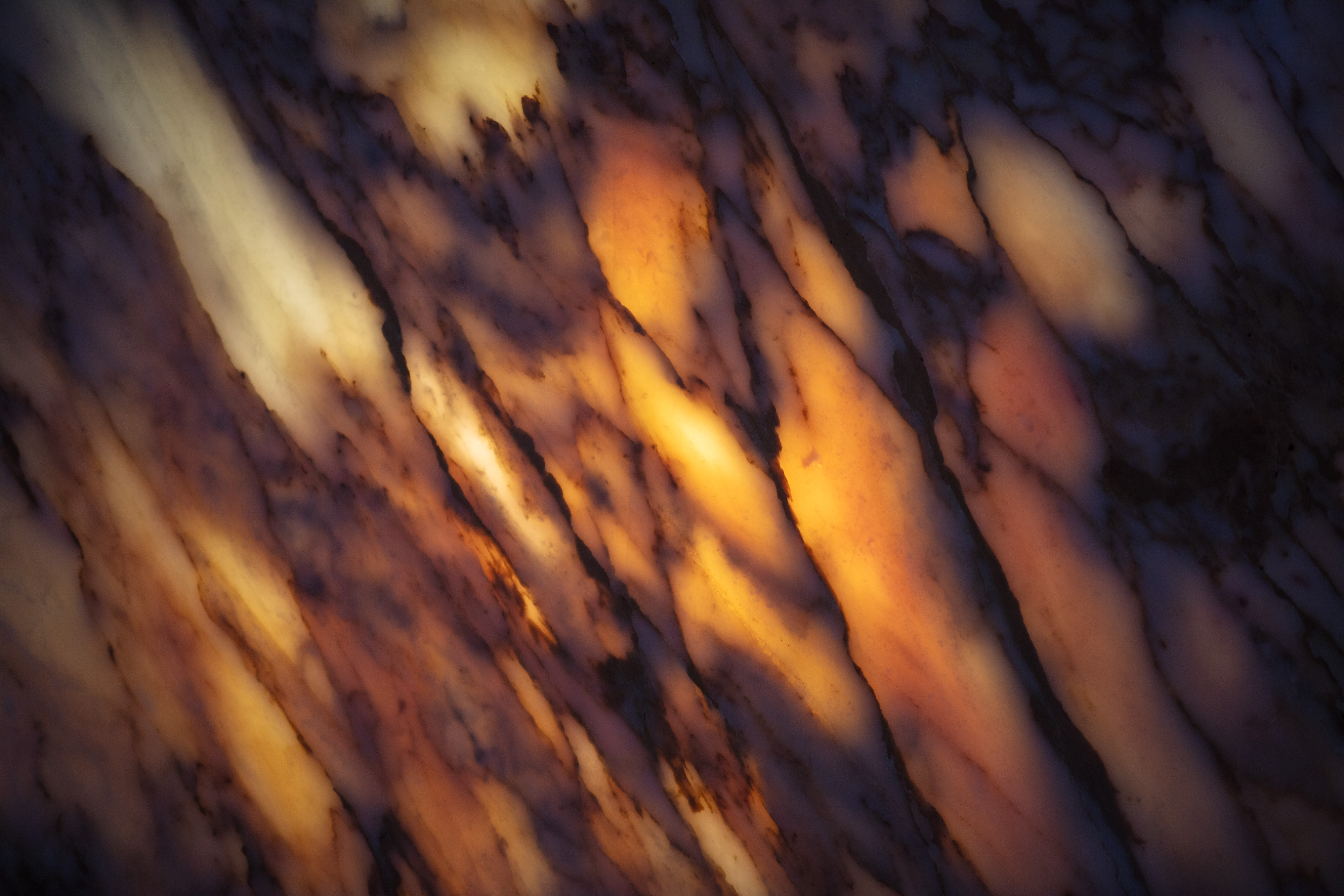 CALACATTA GOLD - фото 4