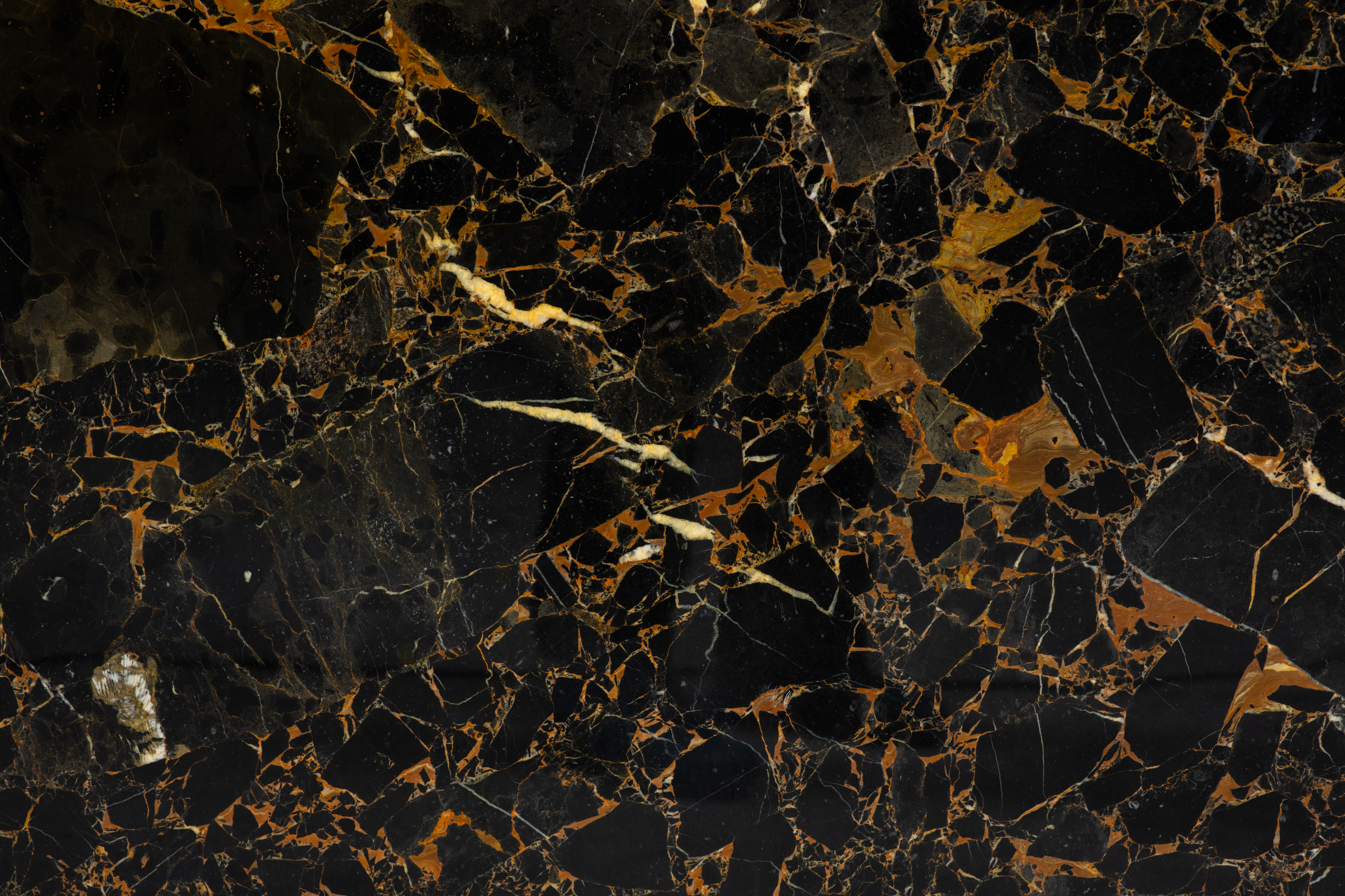 PORTORO GOLD - фото 3 PORTORO GOLD - фото 3