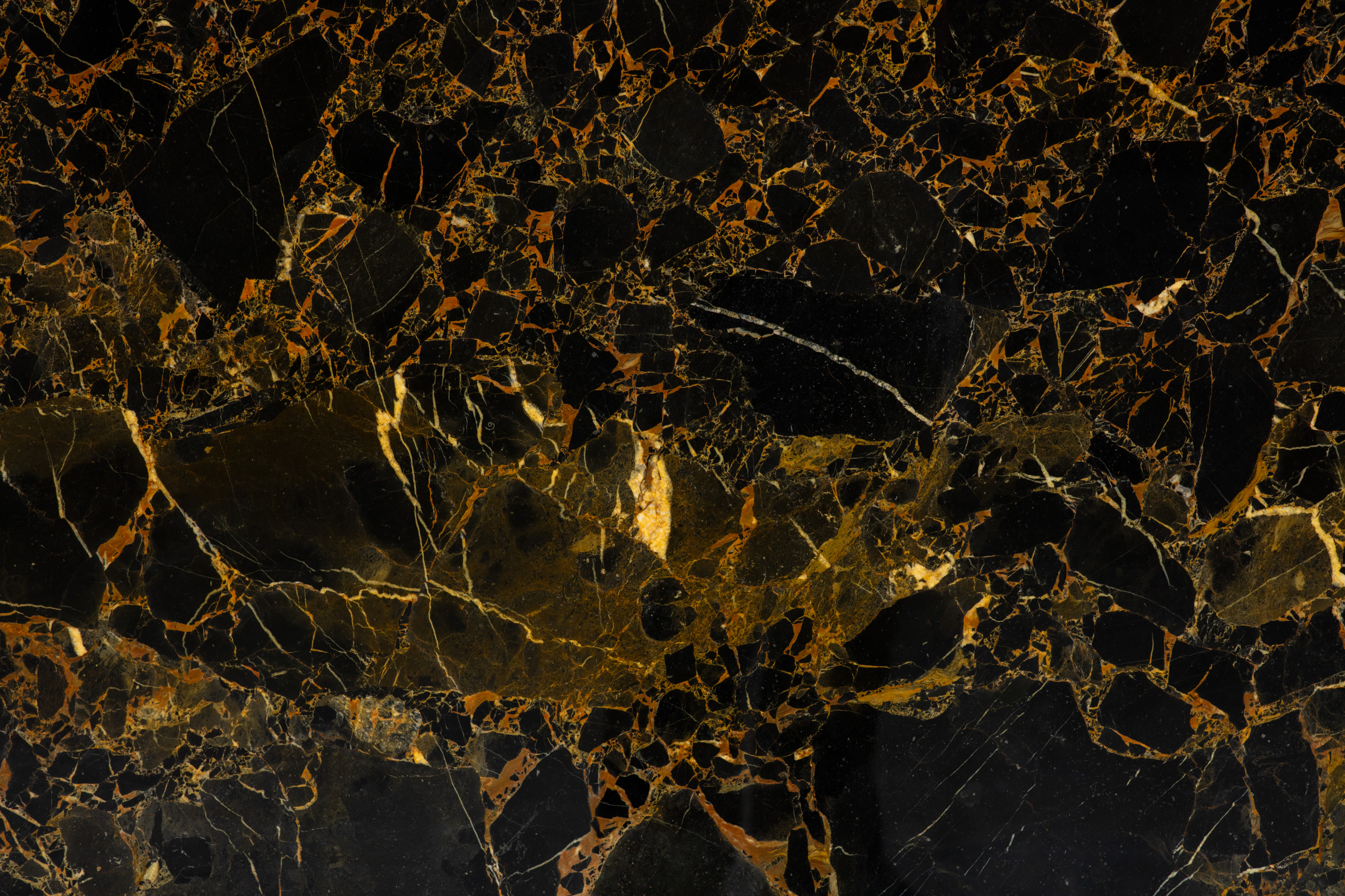 PORTORO GOLD - фото 5 PORTORO GOLD - фото 5