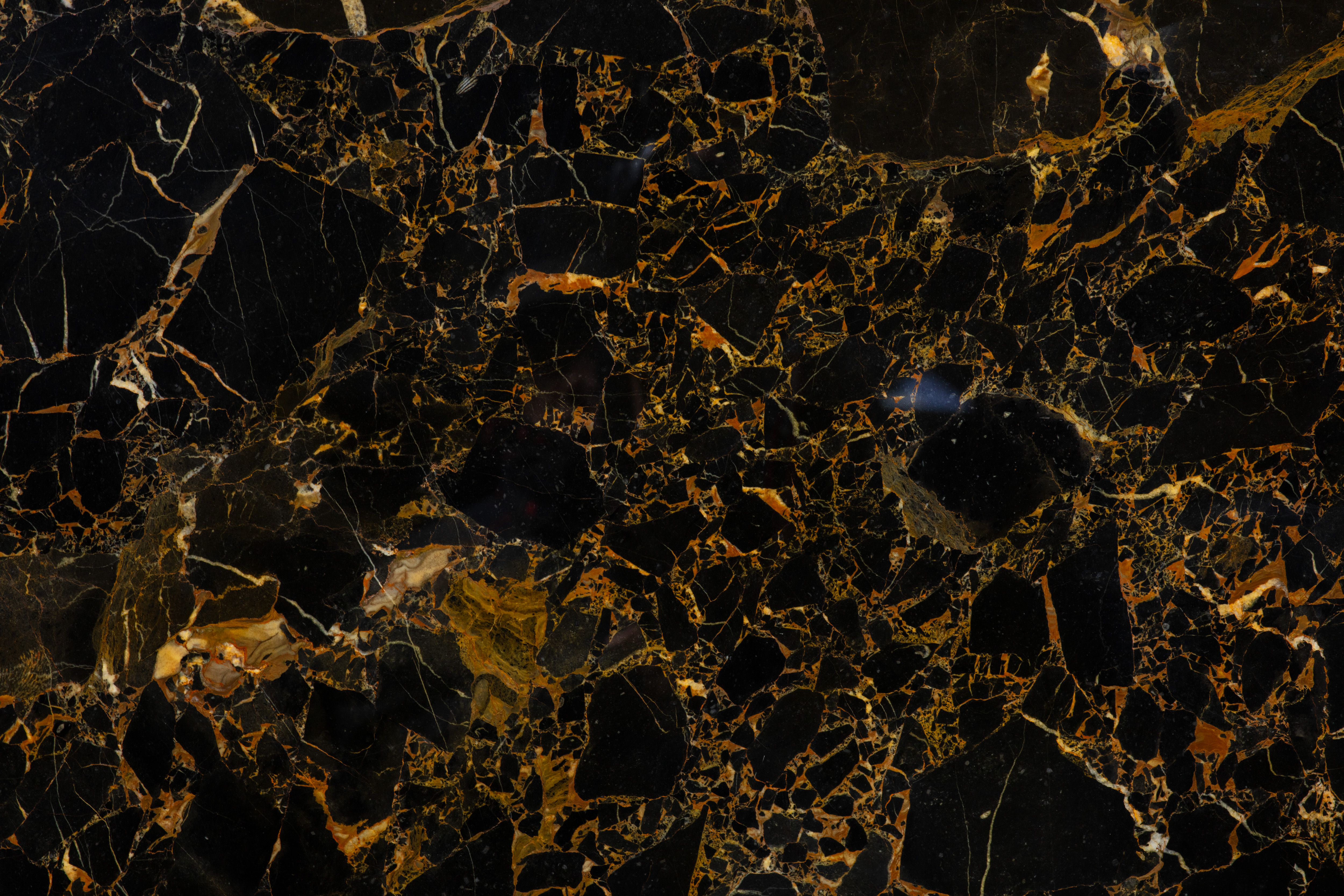 PORTORO GOLD - фото 1 PORTORO GOLD - фото 1