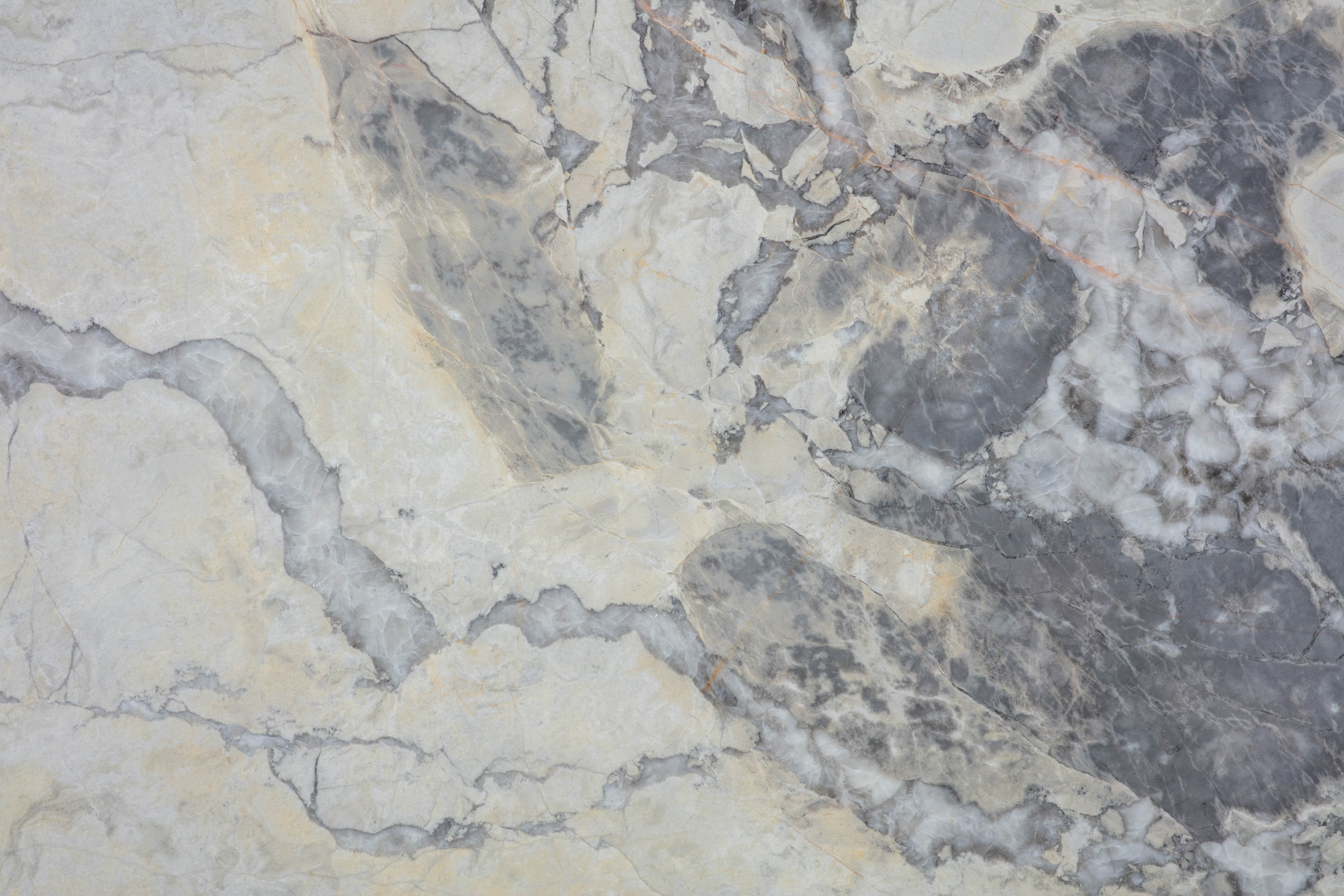 BURBERRY - фото 3