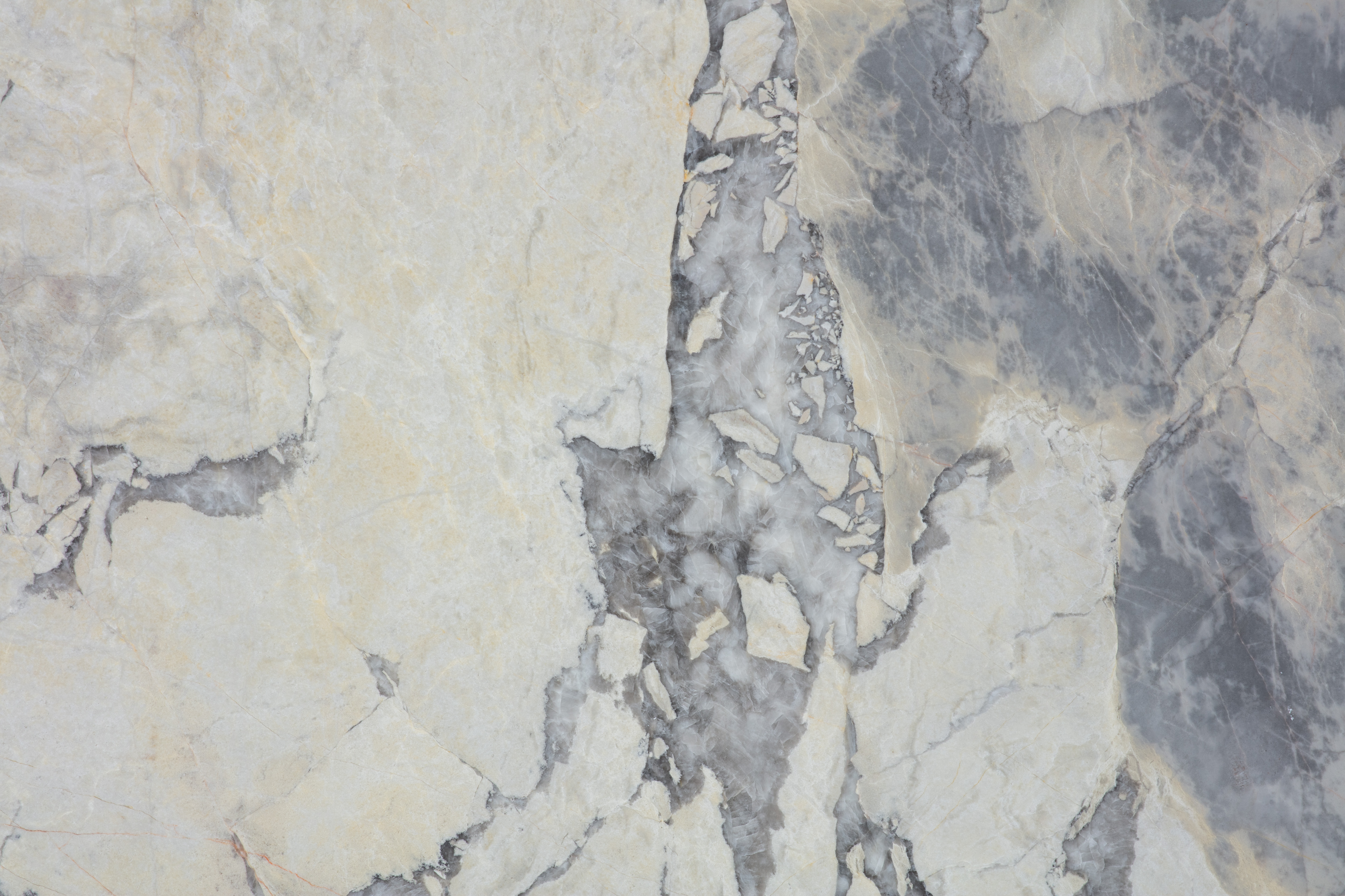 BURBERRY - фото 4