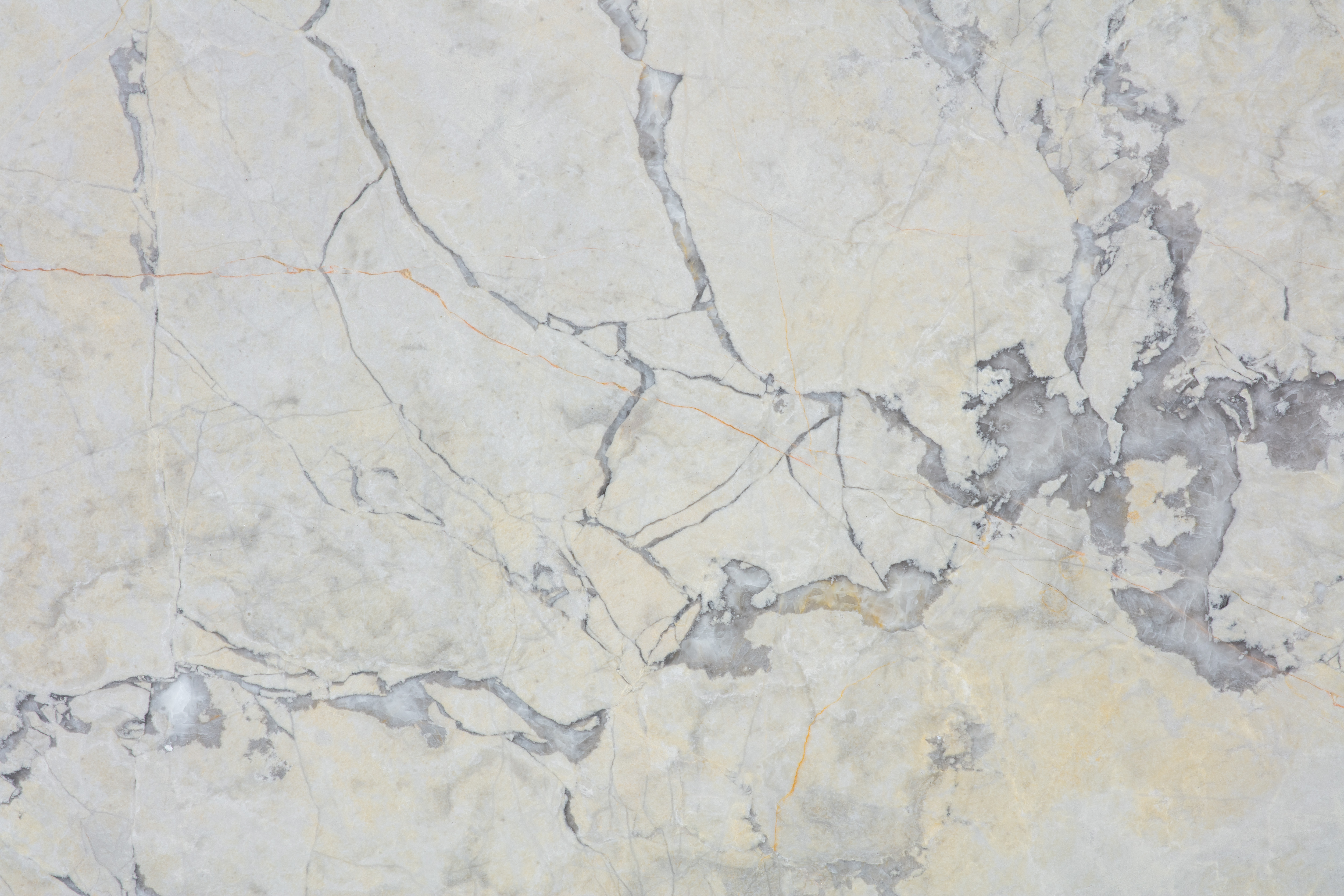 BURBERRY - фото 5