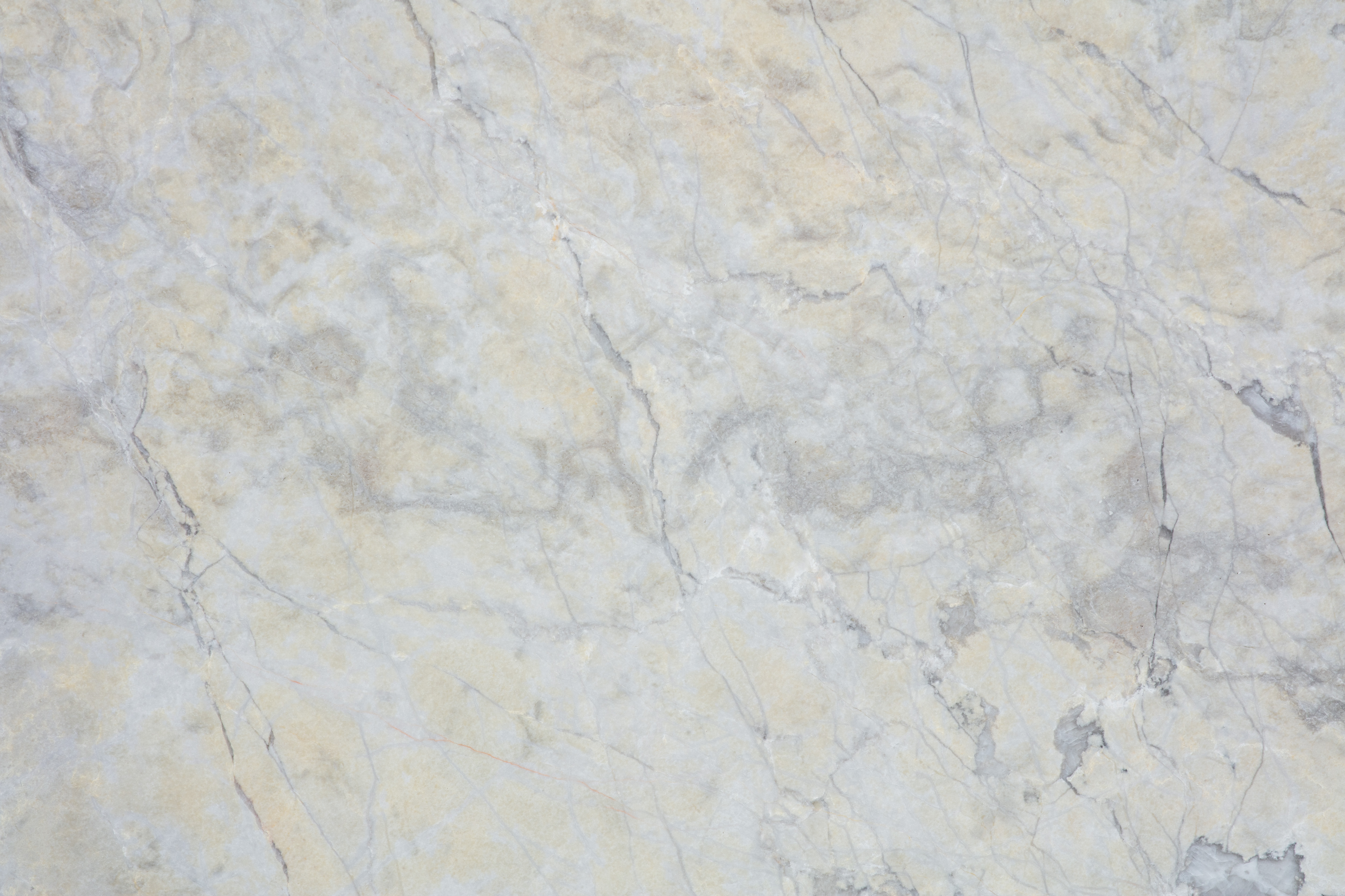 BURBERRY - фото 6