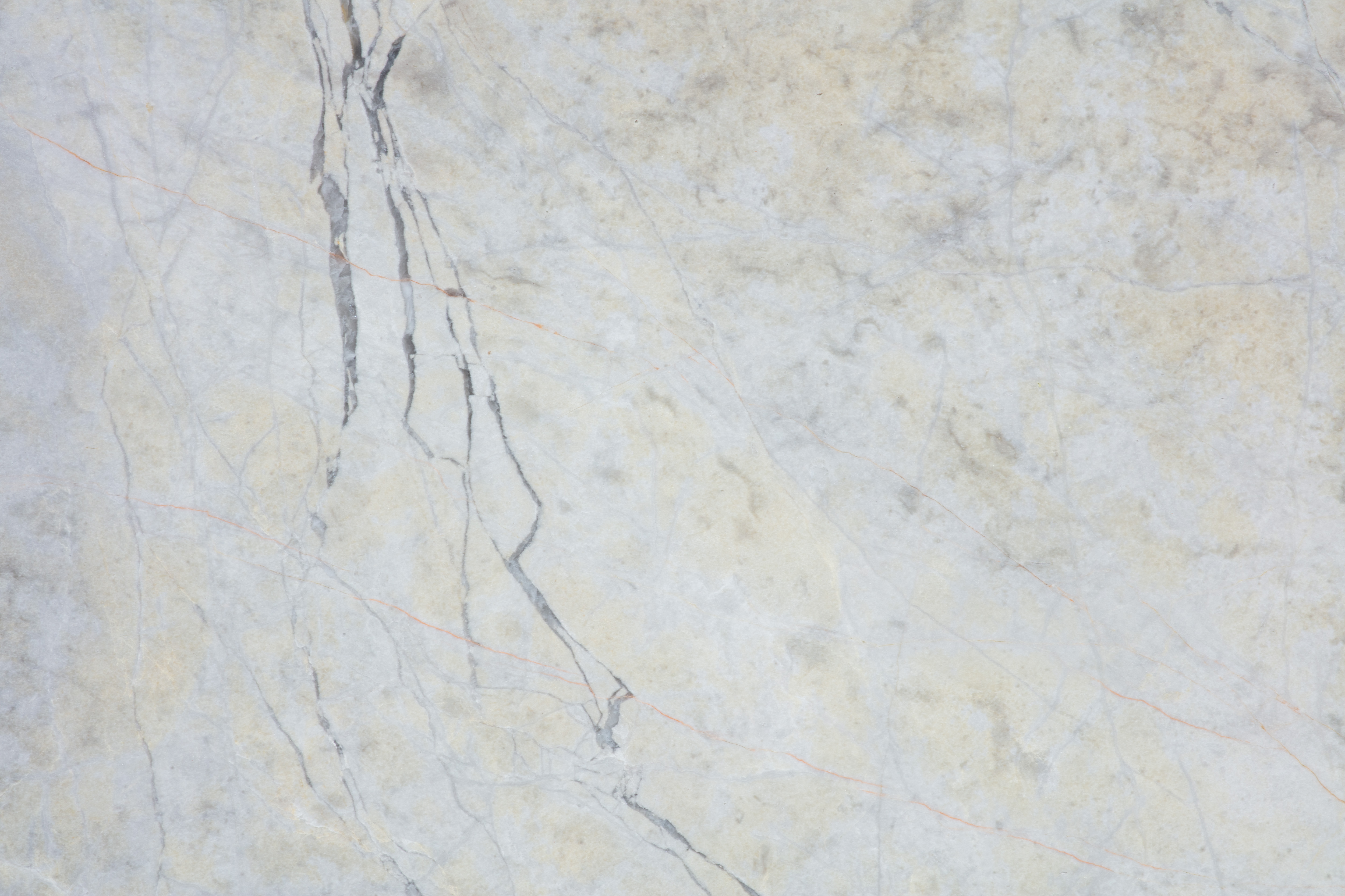 BURBERRY - фото 7