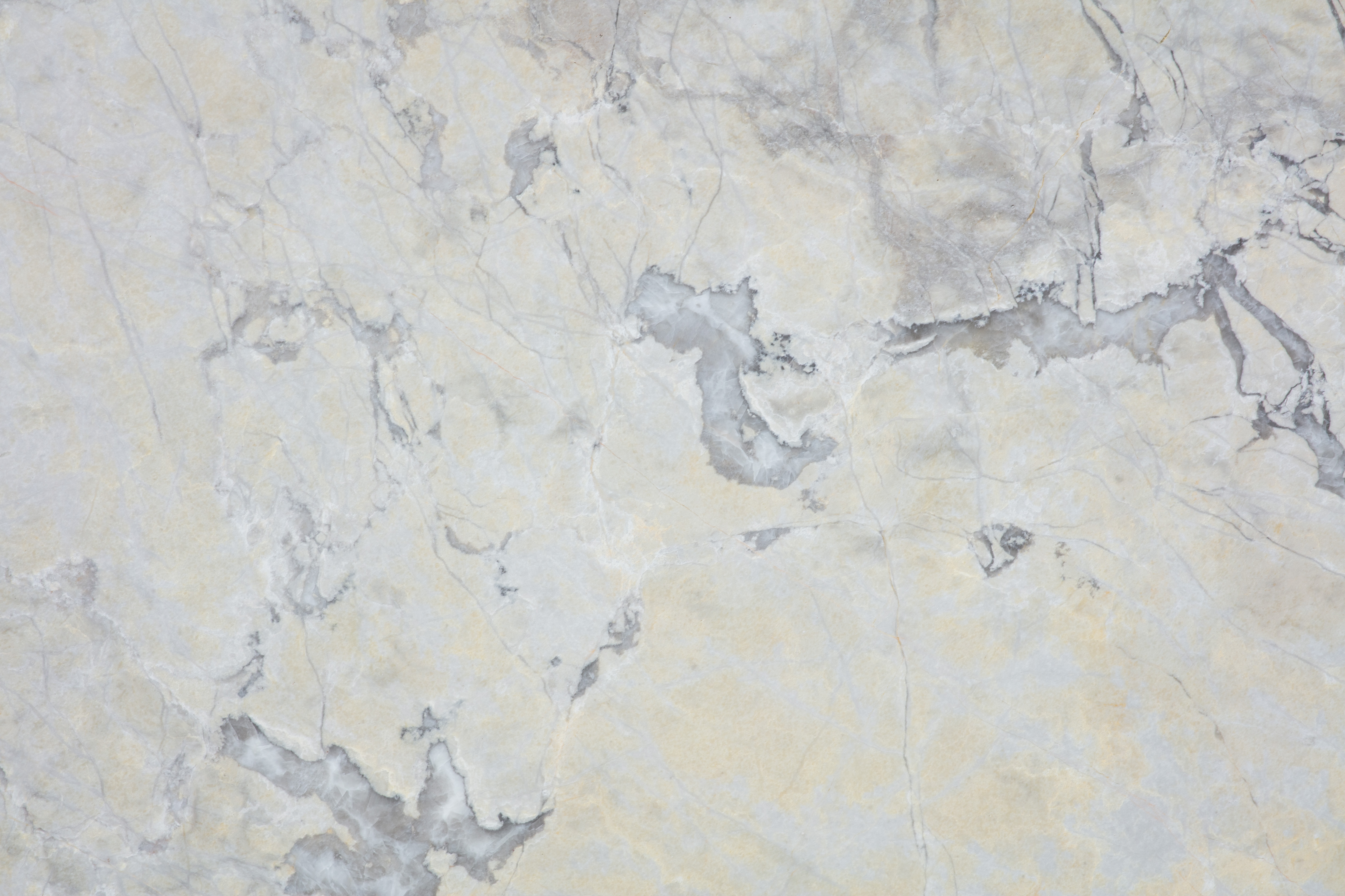 BURBERRY - фото 1