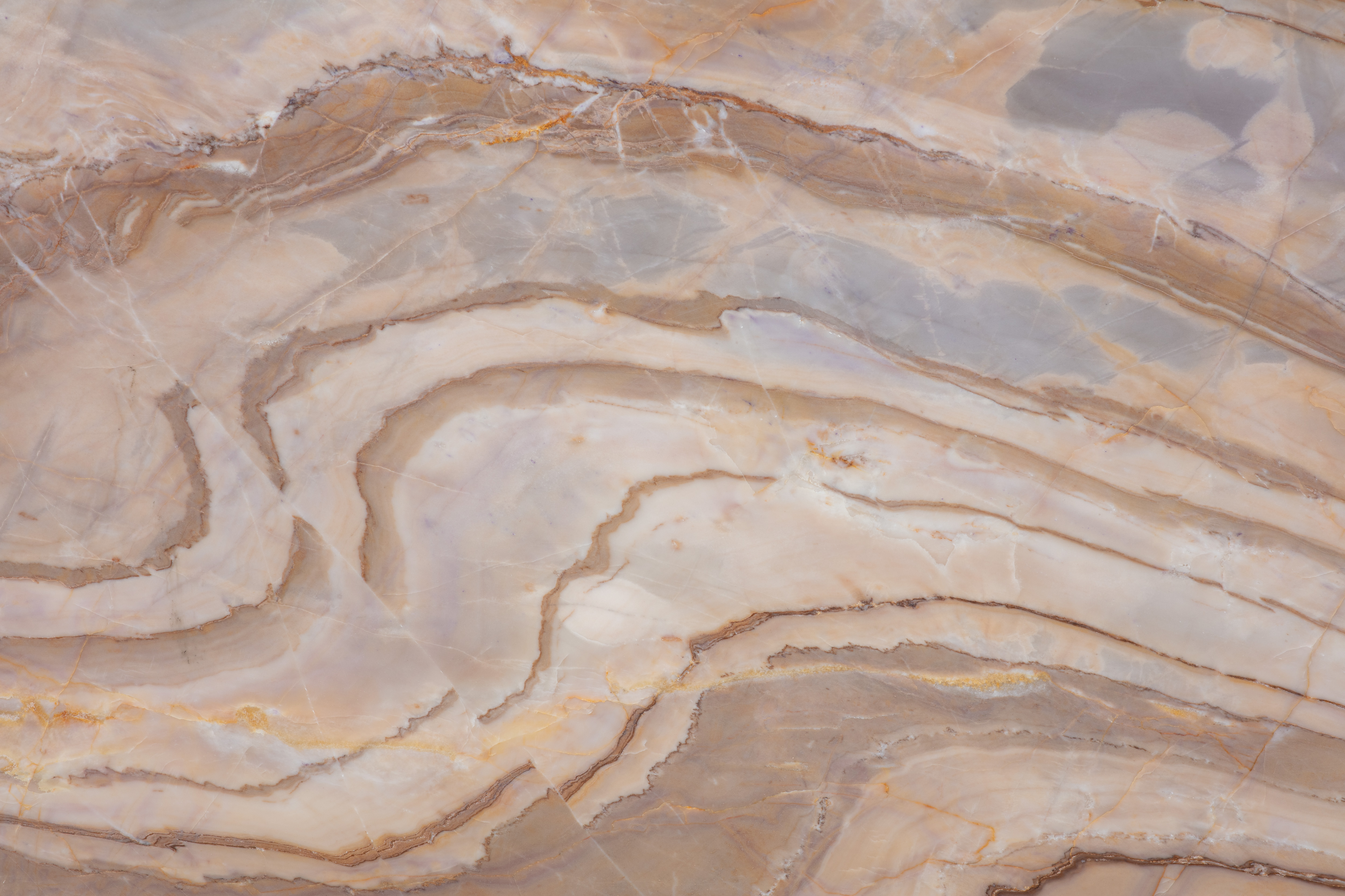 MONET SKY - фото 3