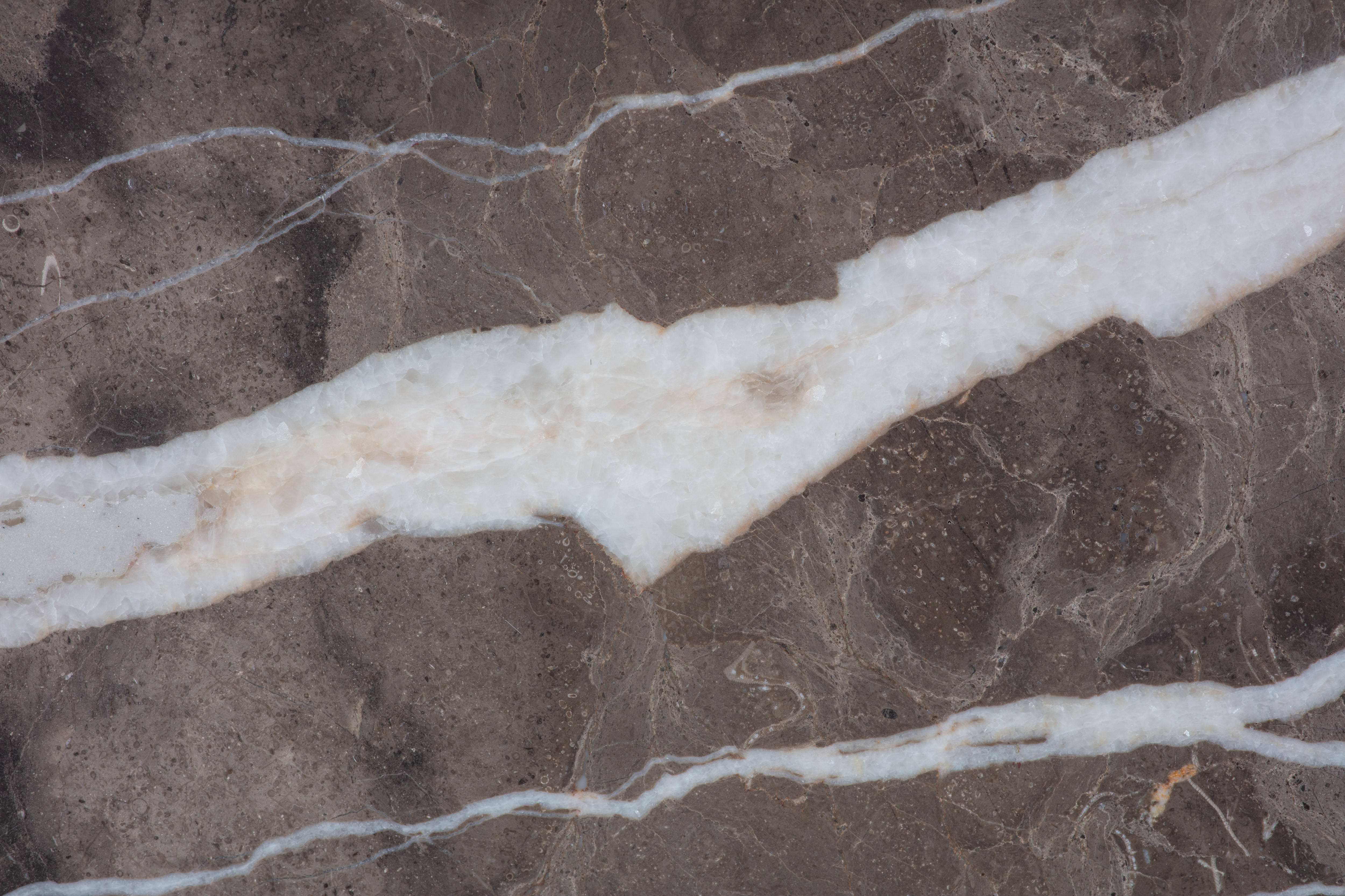 ARMANI BROWN - фото 3 ARMANI BROWN - фото 3