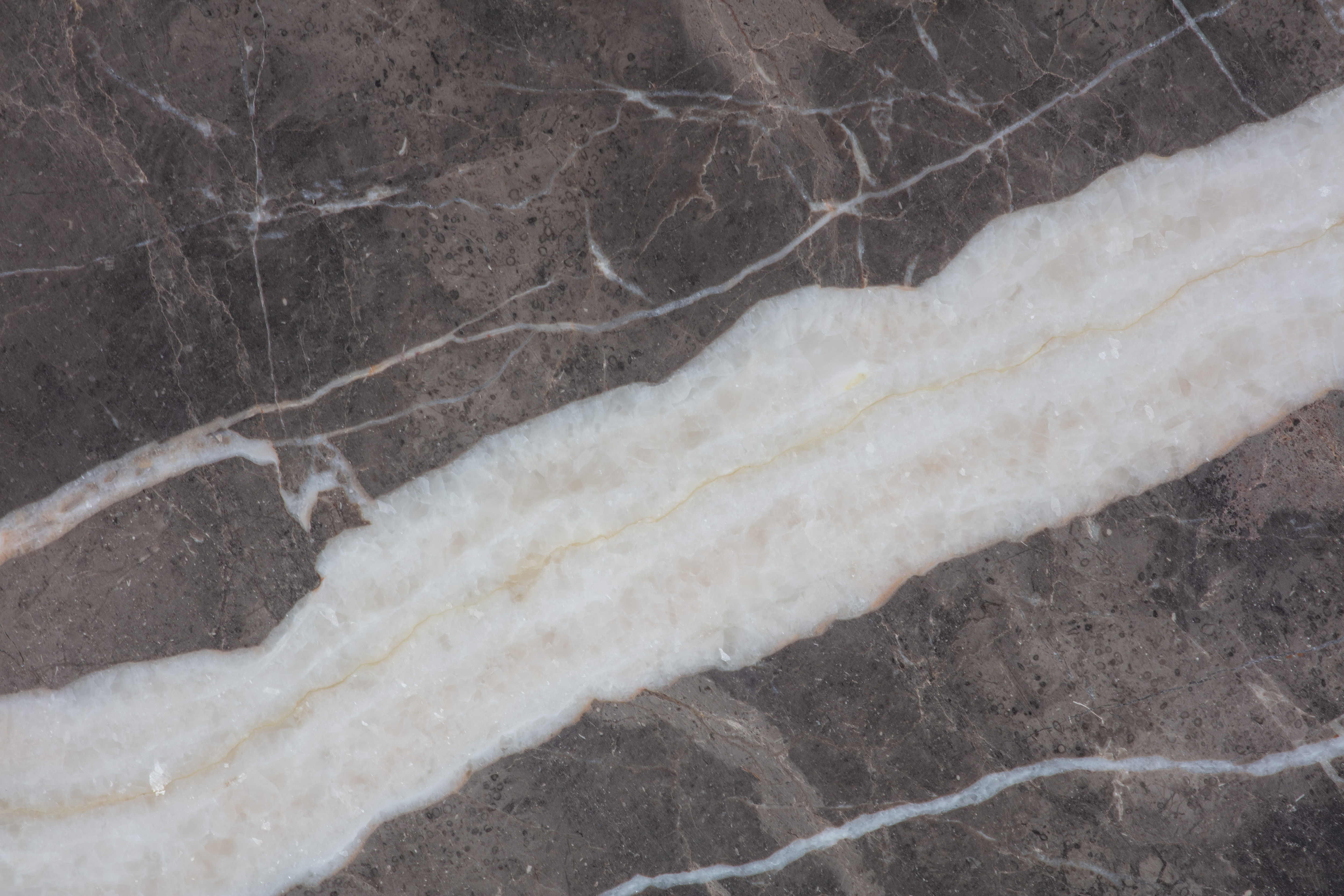 ARMANI BROWN - фото 4 ARMANI BROWN - фото 4