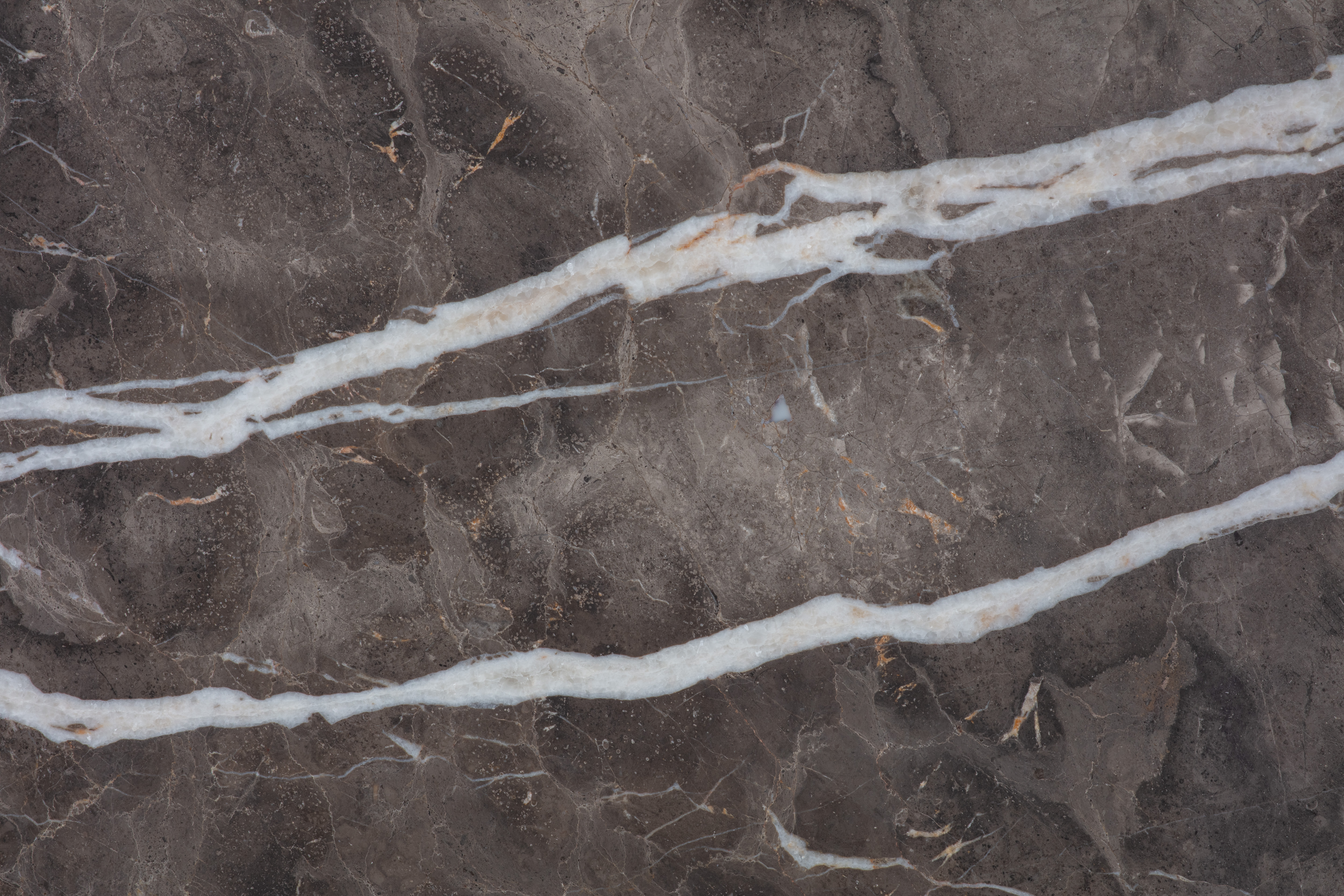 ARMANI BROWN - фото 5 ARMANI BROWN - фото 5