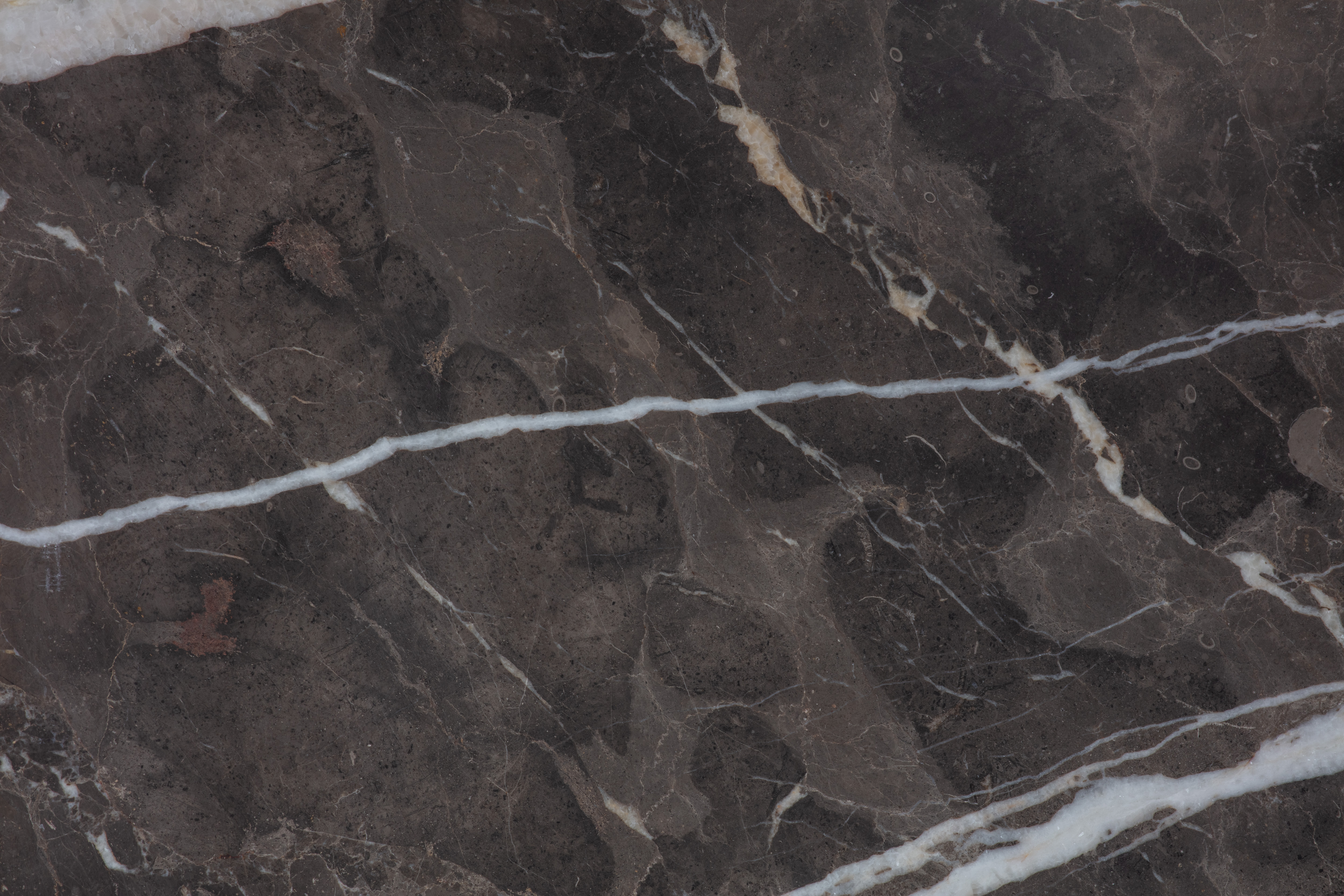 ARMANI BROWN - фото 6 ARMANI BROWN - фото 6