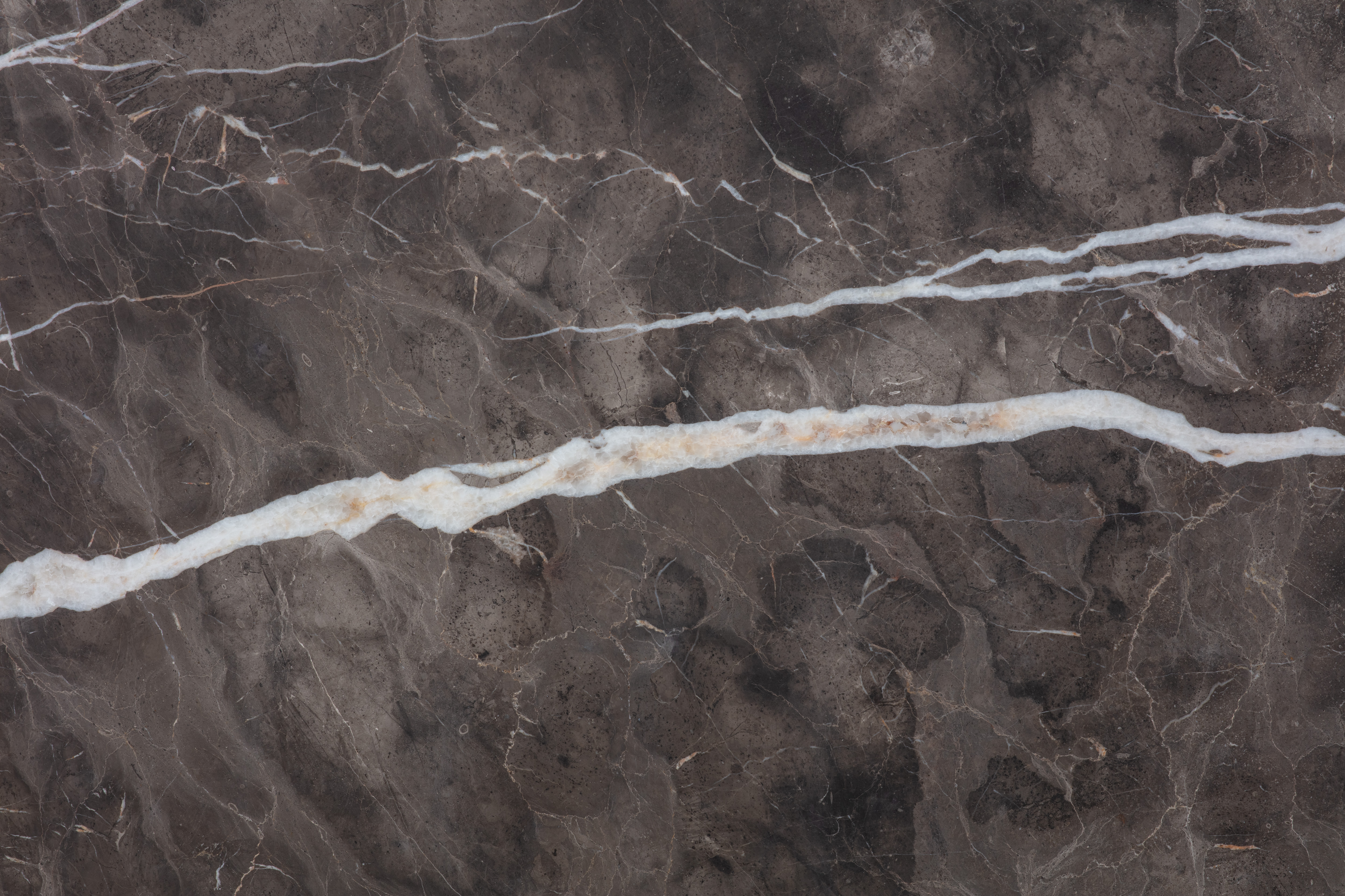 ARMANI BROWN - фото 7 ARMANI BROWN - фото 7