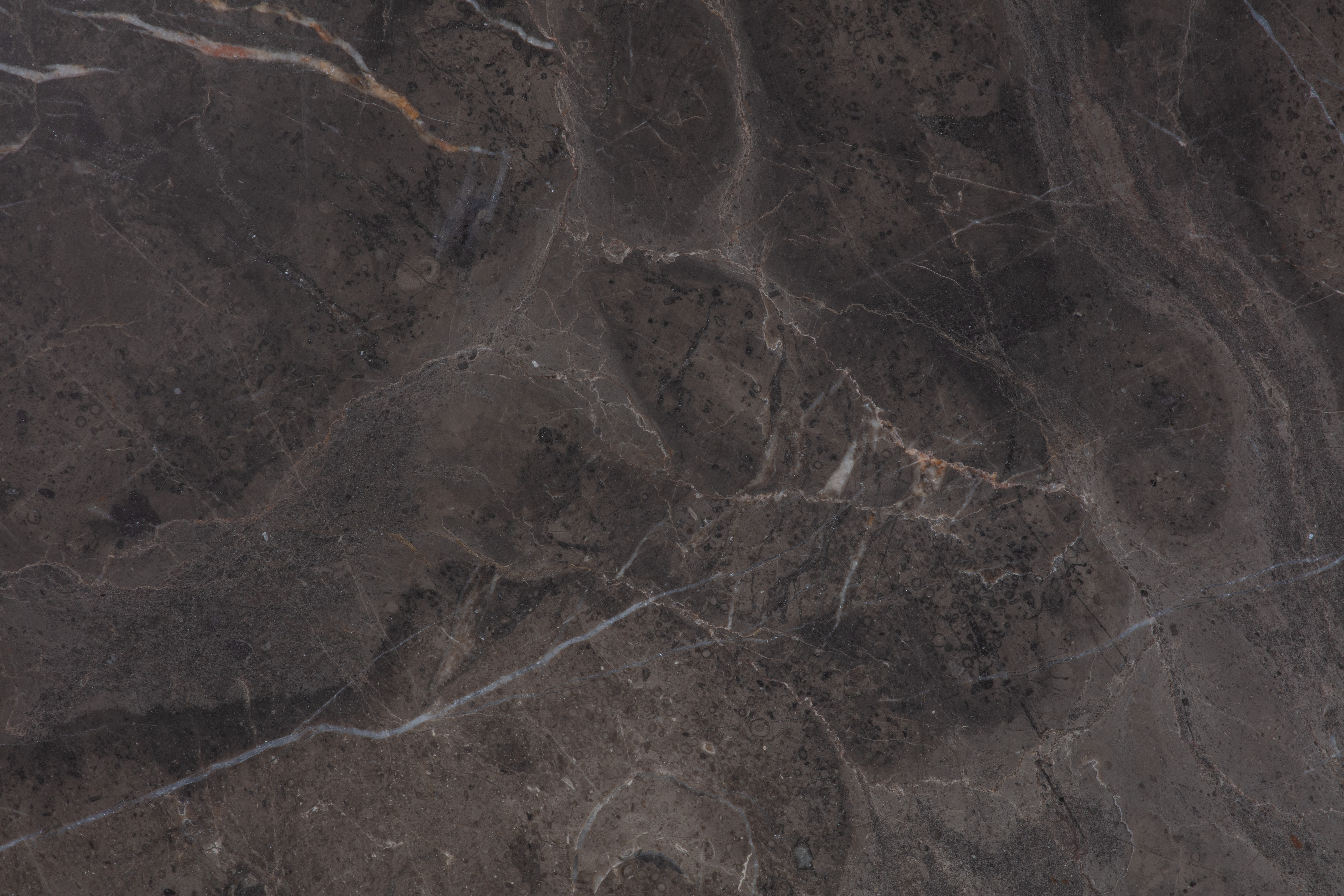 ARMANI BROWN - фото 1 ARMANI BROWN - фото 1