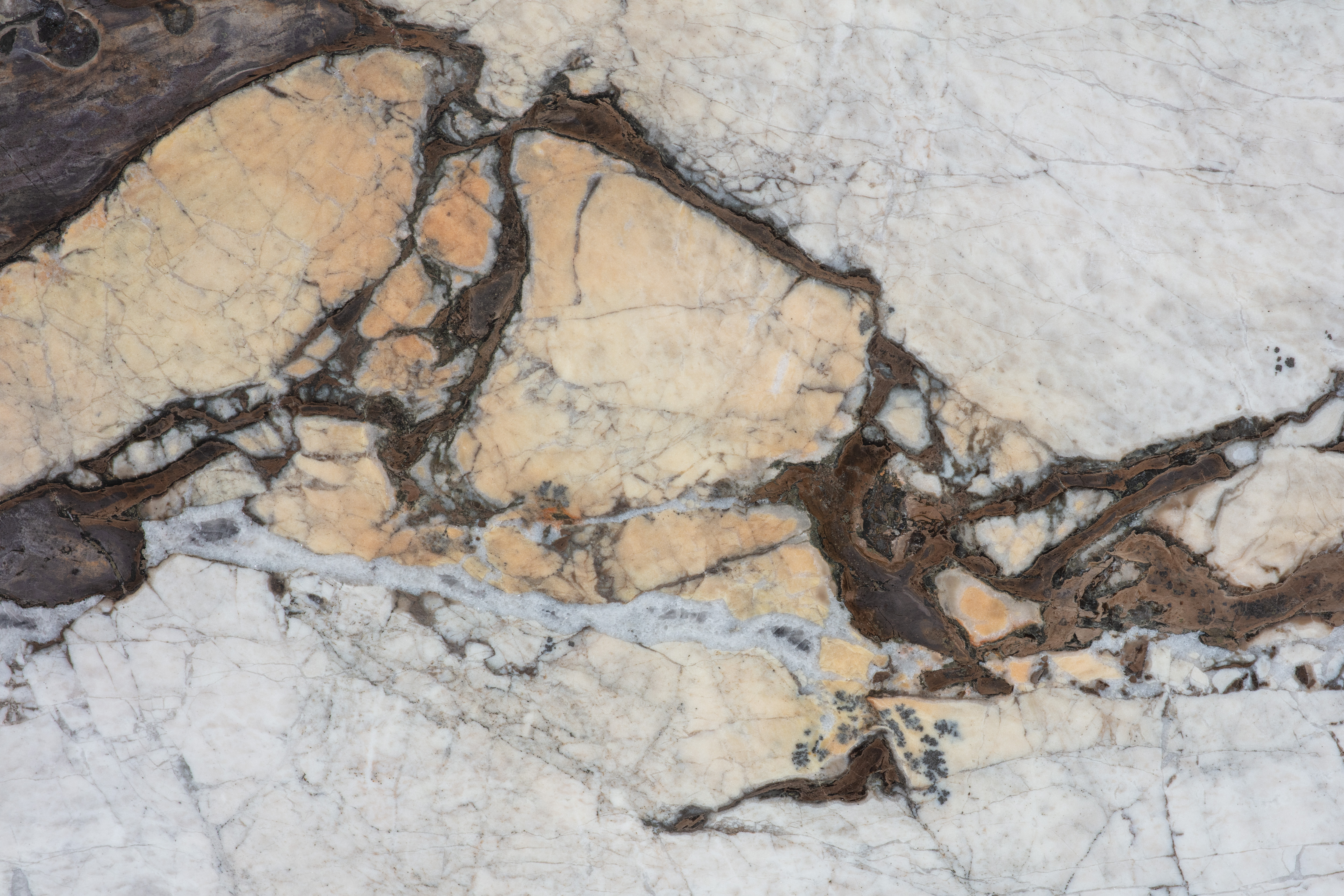 BRASILIA GREY - фото 3