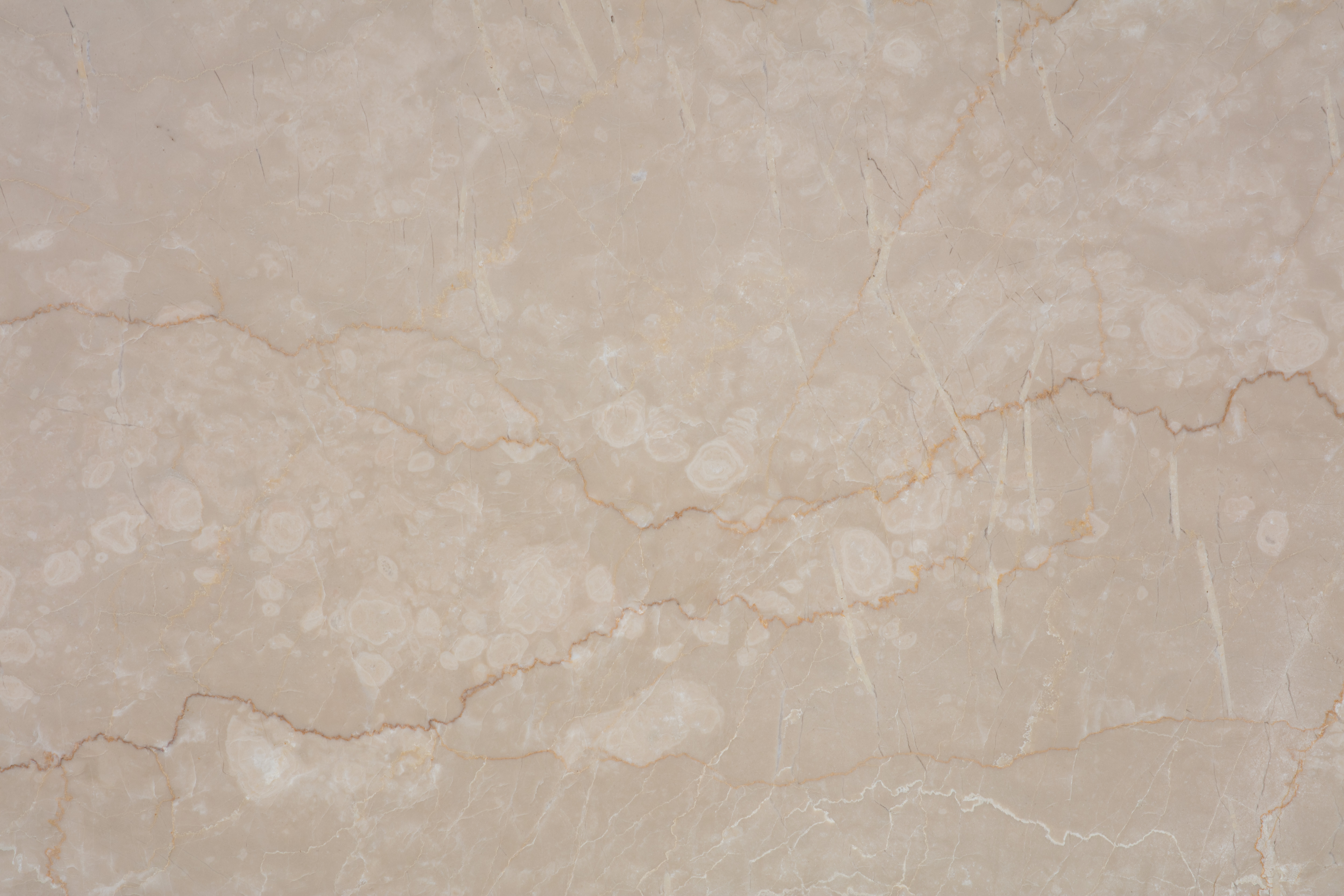 BOTTICINO SEMICLASSICO - фото 8