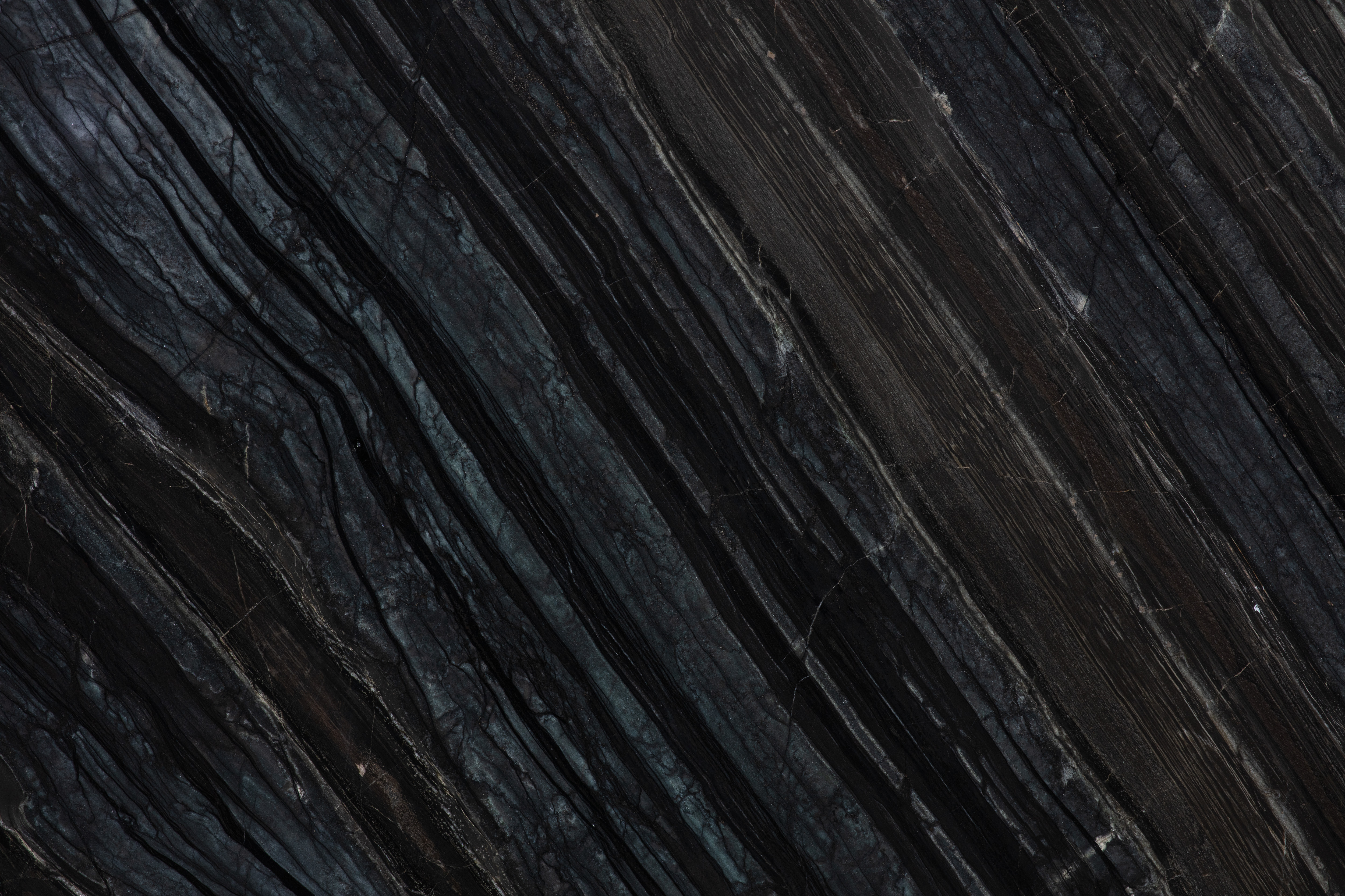 BLACK WOOD - фото 4