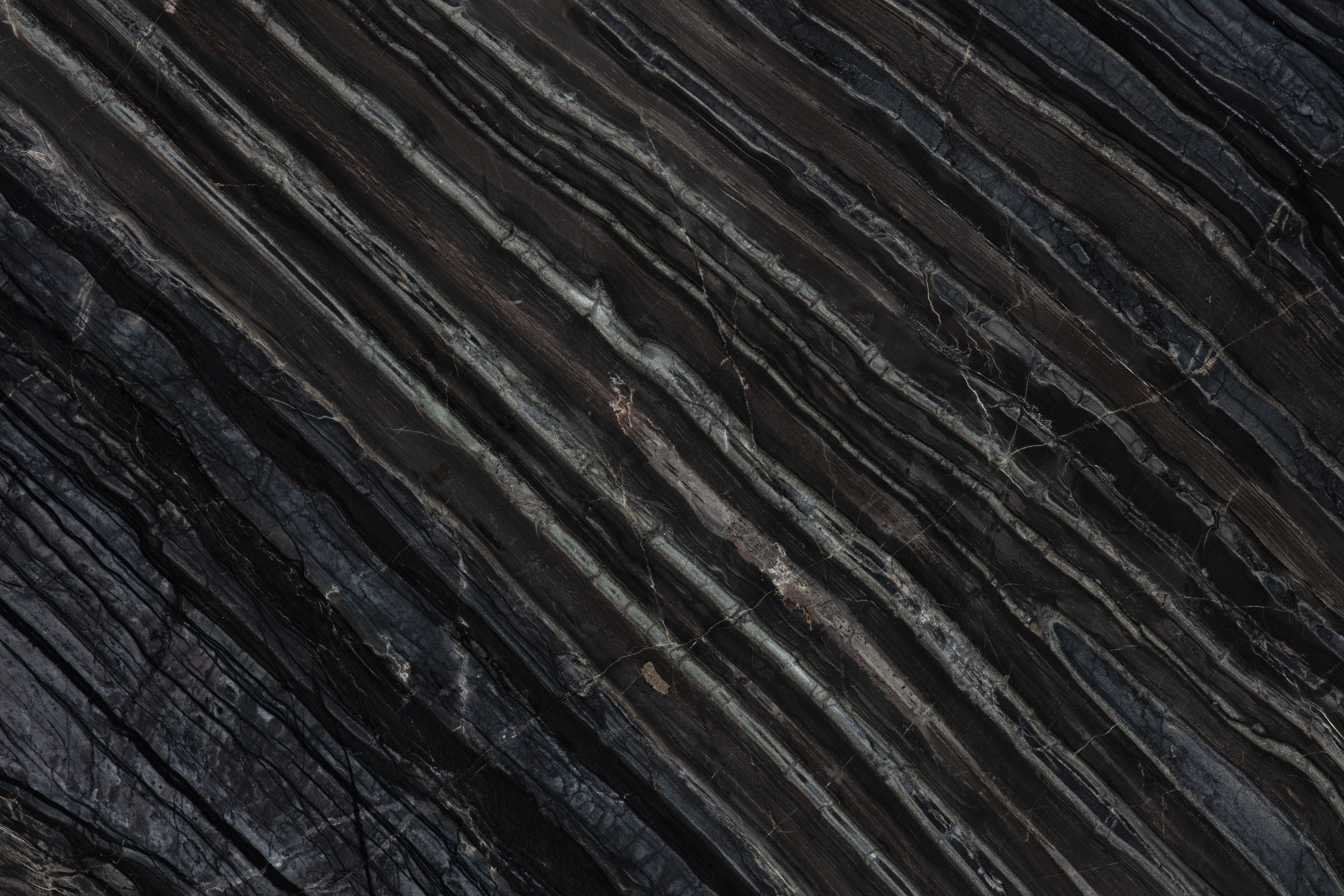 BLACK WOOD - фото 5