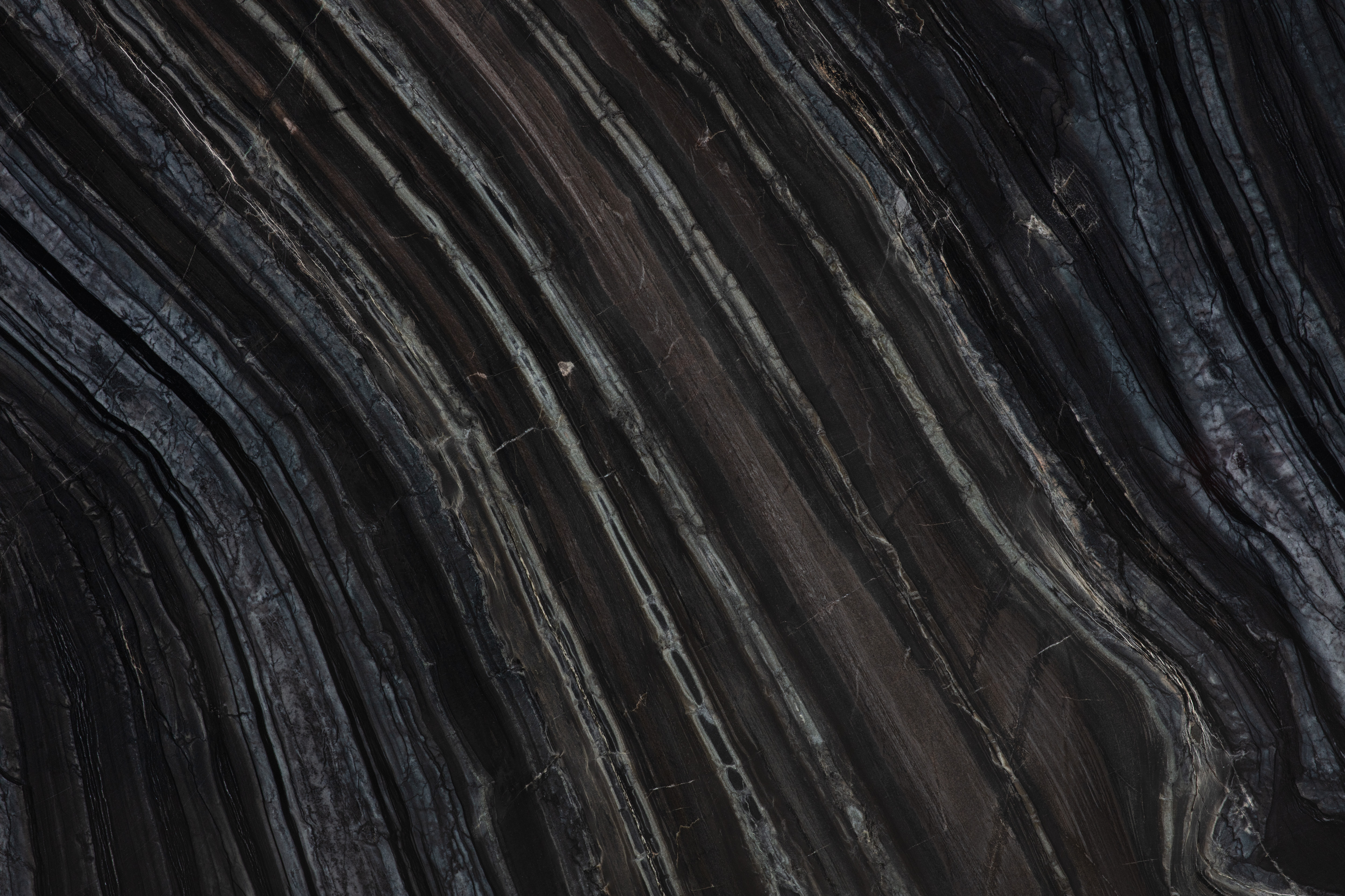 BLACK WOOD - фото 6