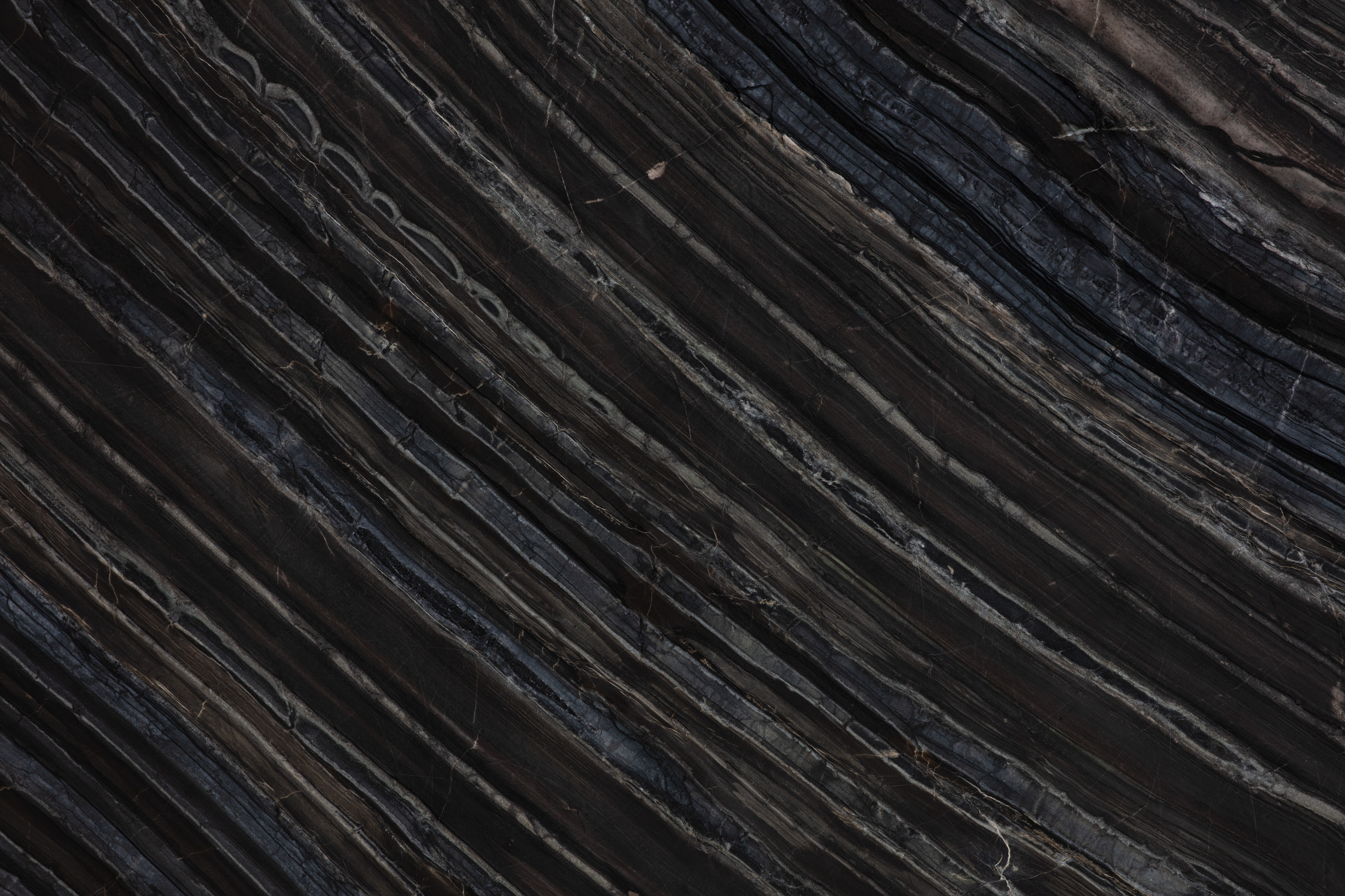 BLACK WOOD - фото 7