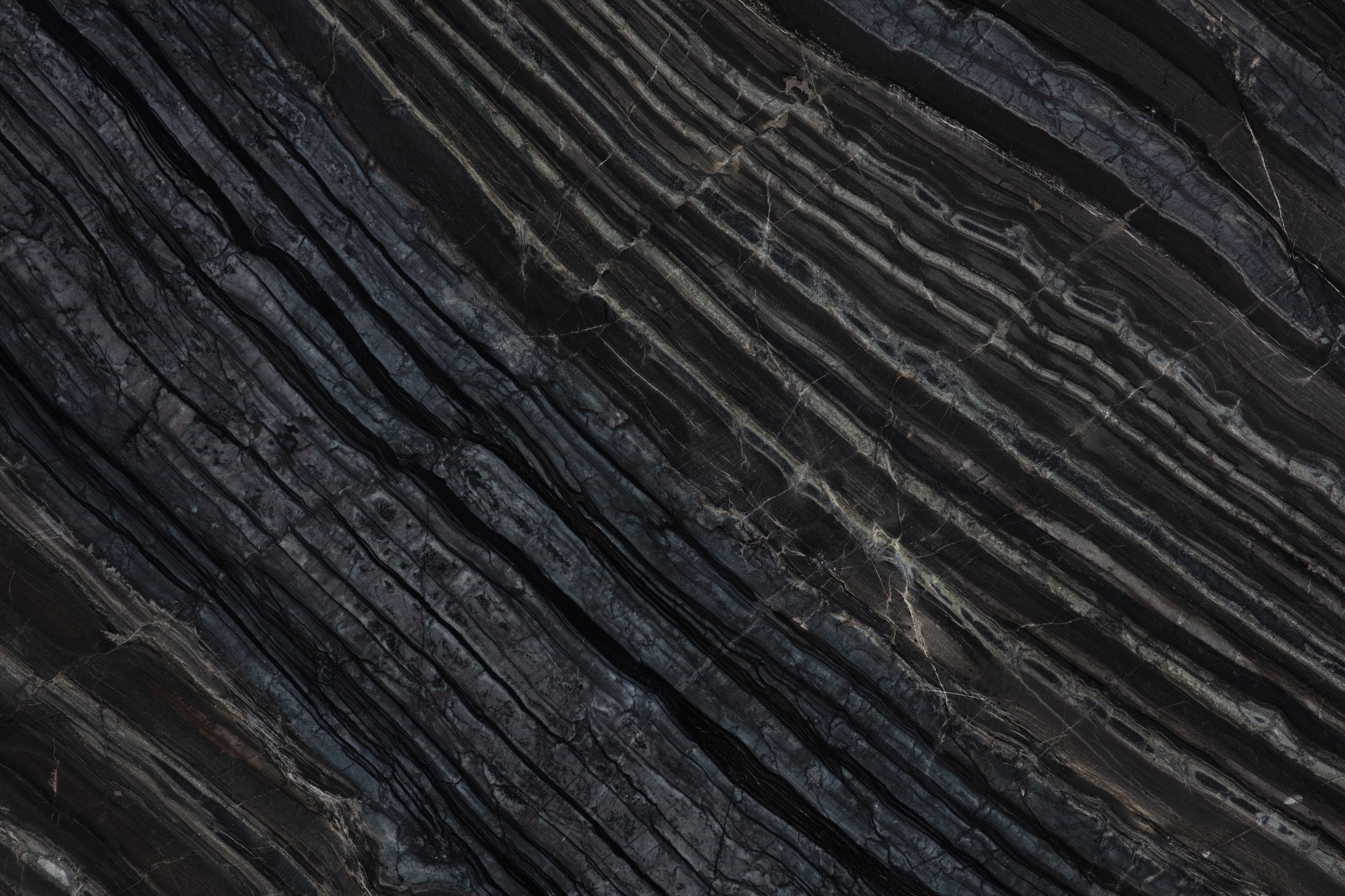 BLACK WOOD - фото 1