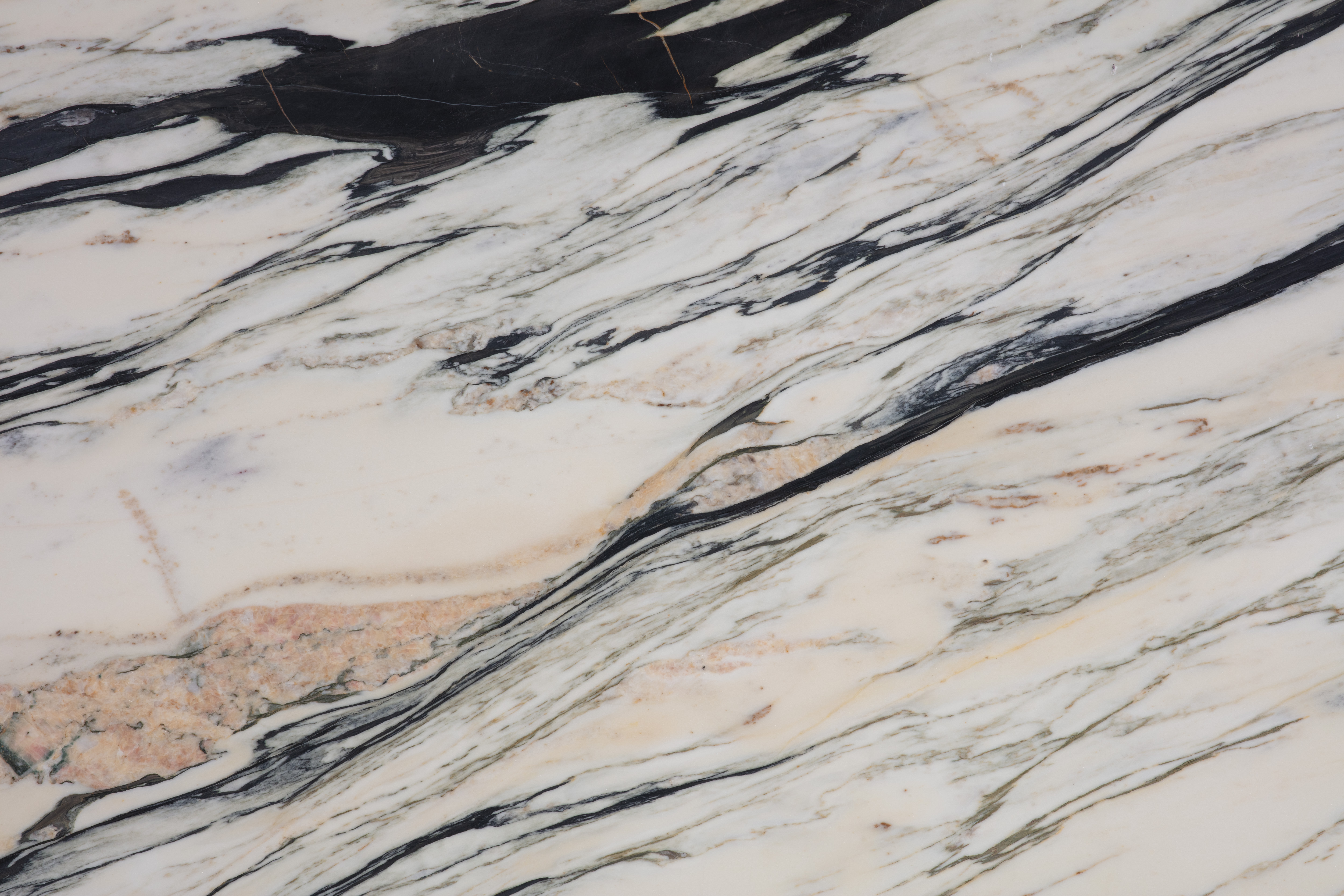 BULGARY - фото 2