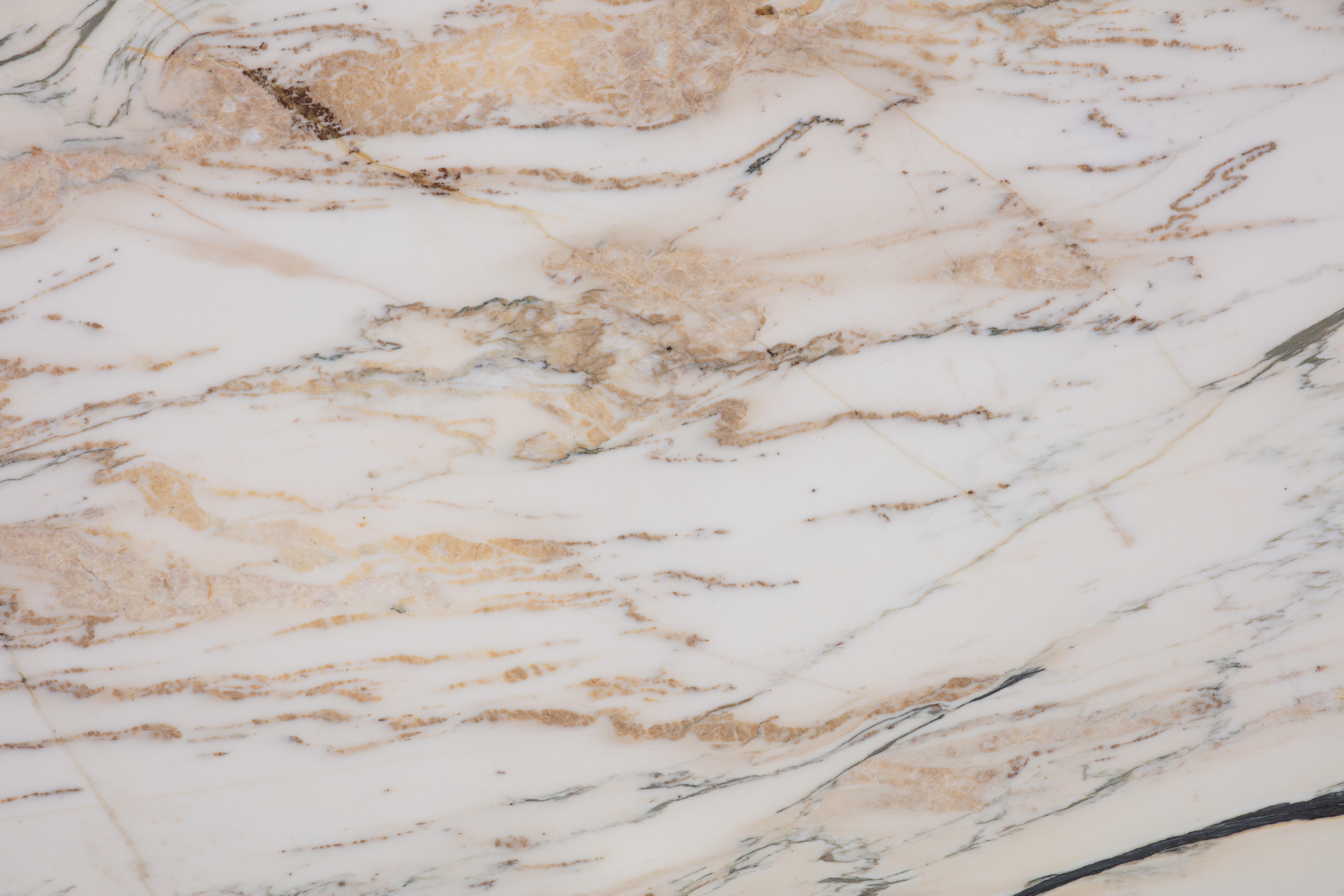 BULGARY - фото 4