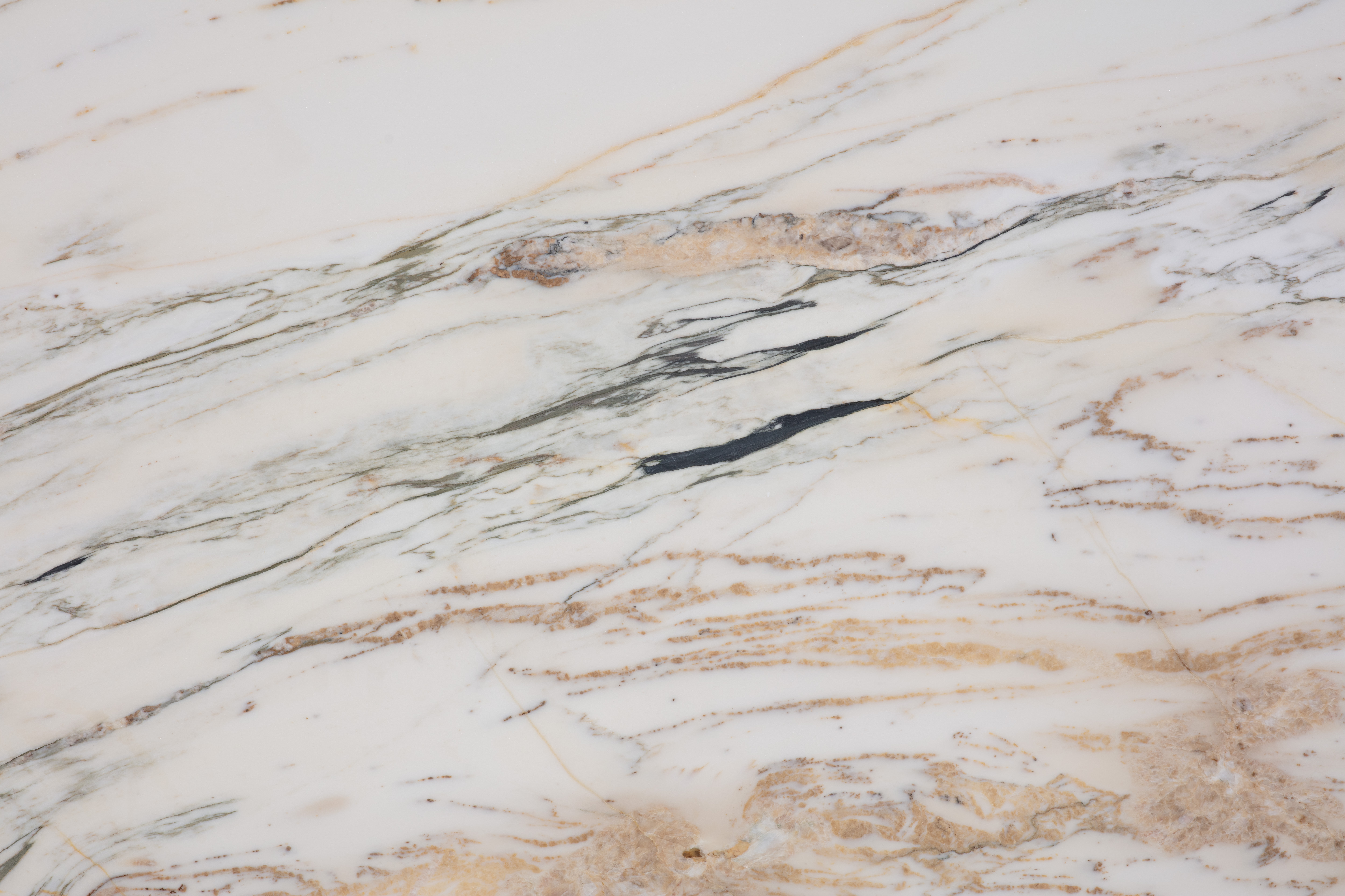 BULGARY - фото 5