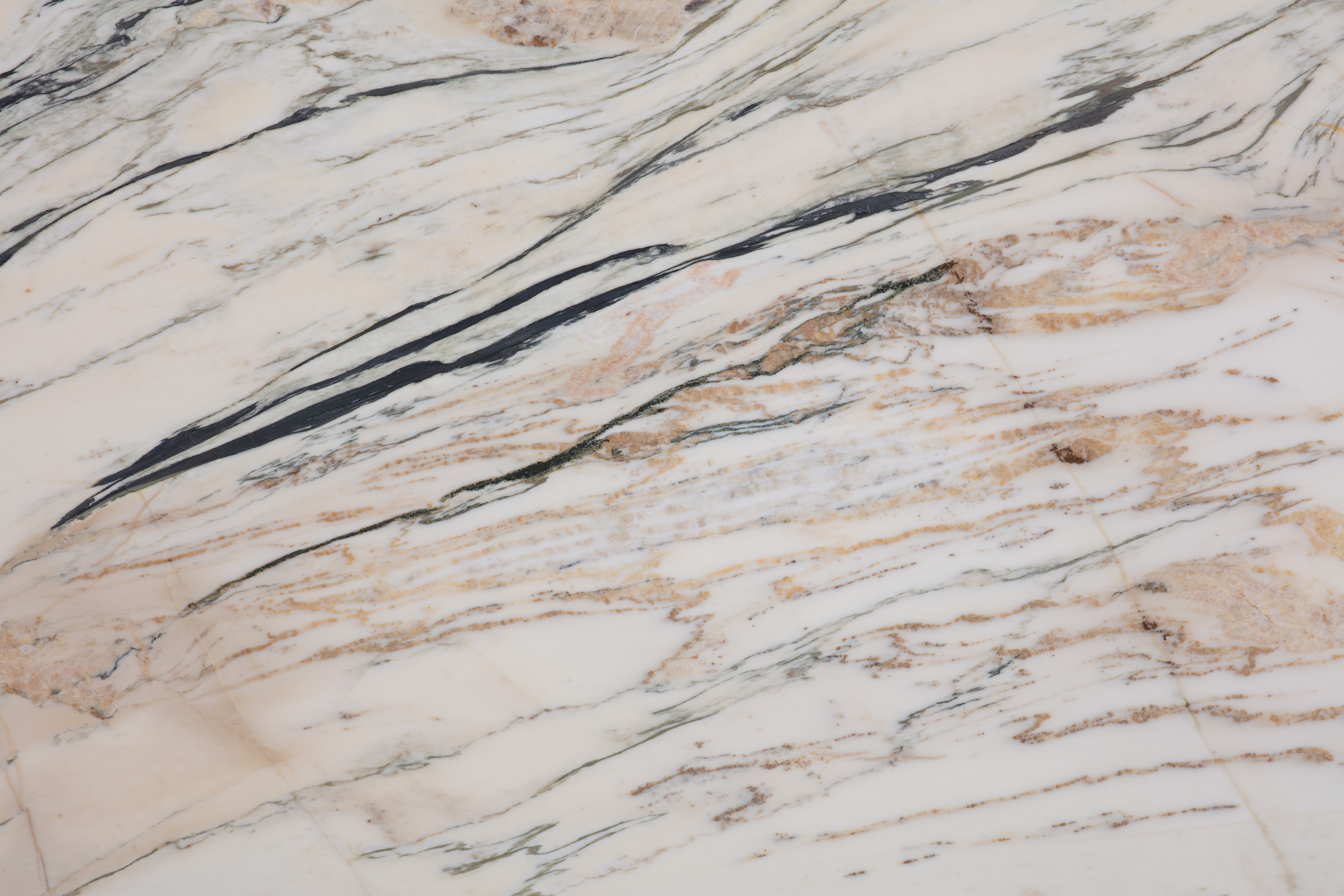 BULGARY - фото 7