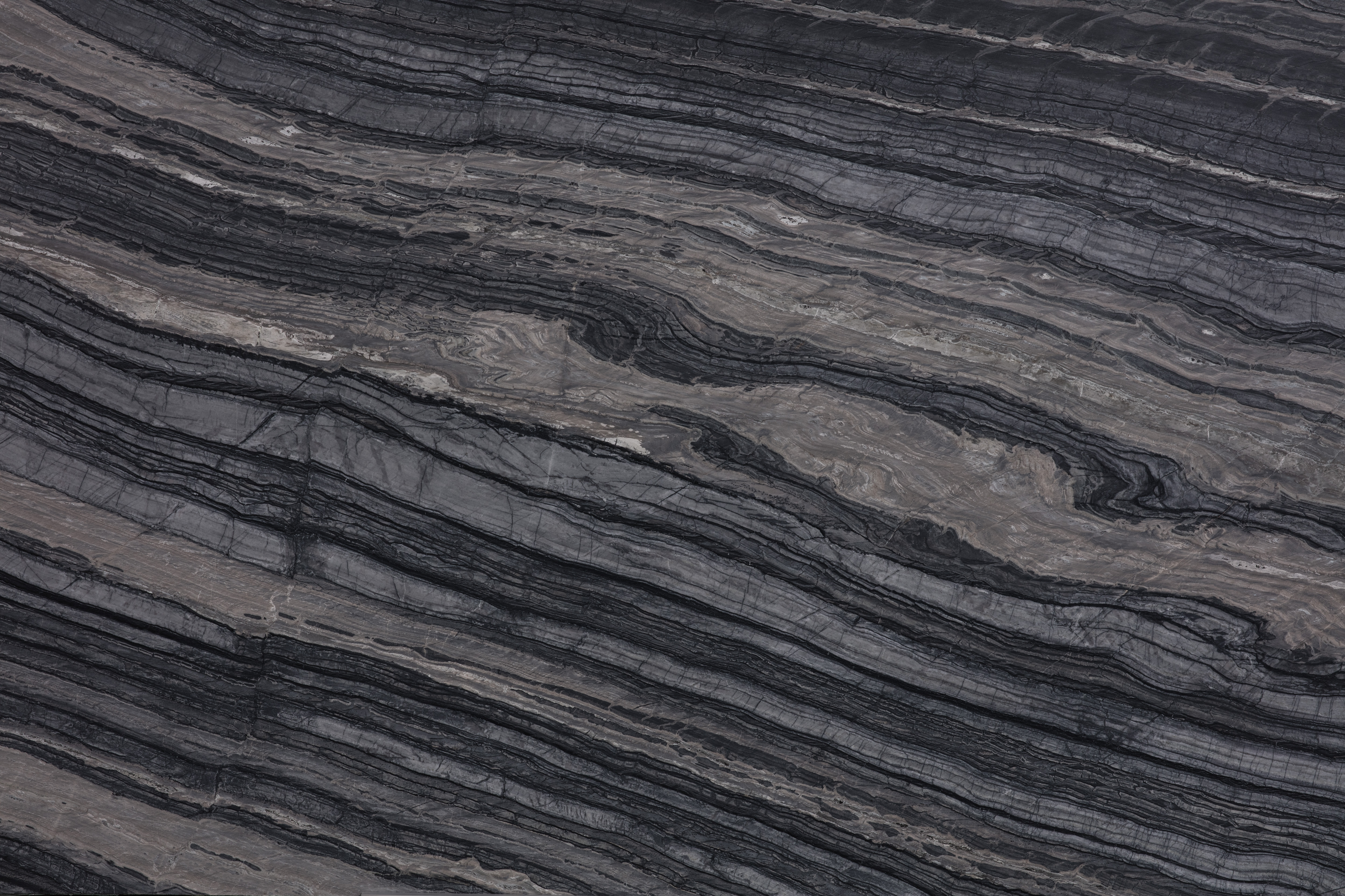 ZEBRATO - фото 1