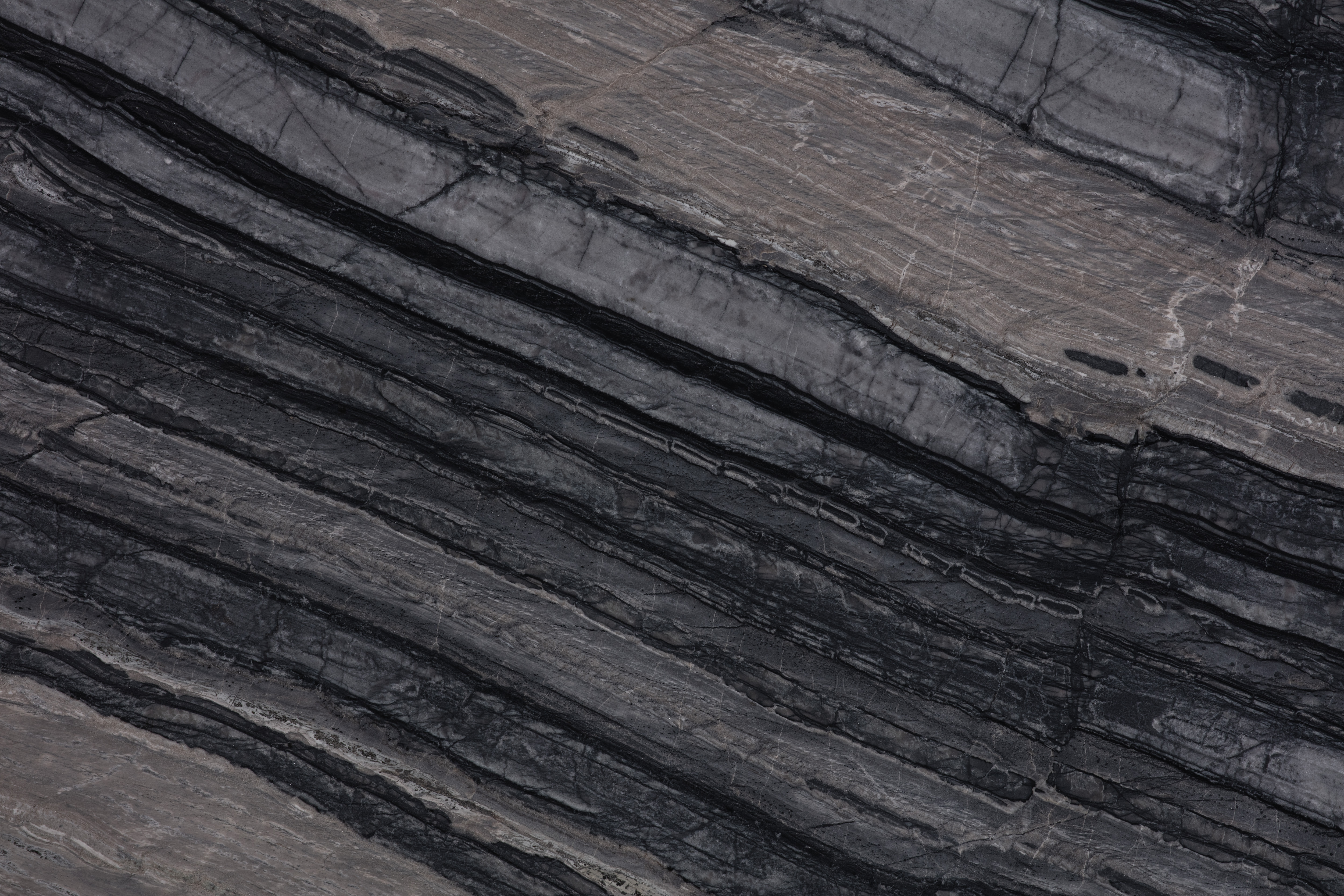 ZEBRATO - фото 2