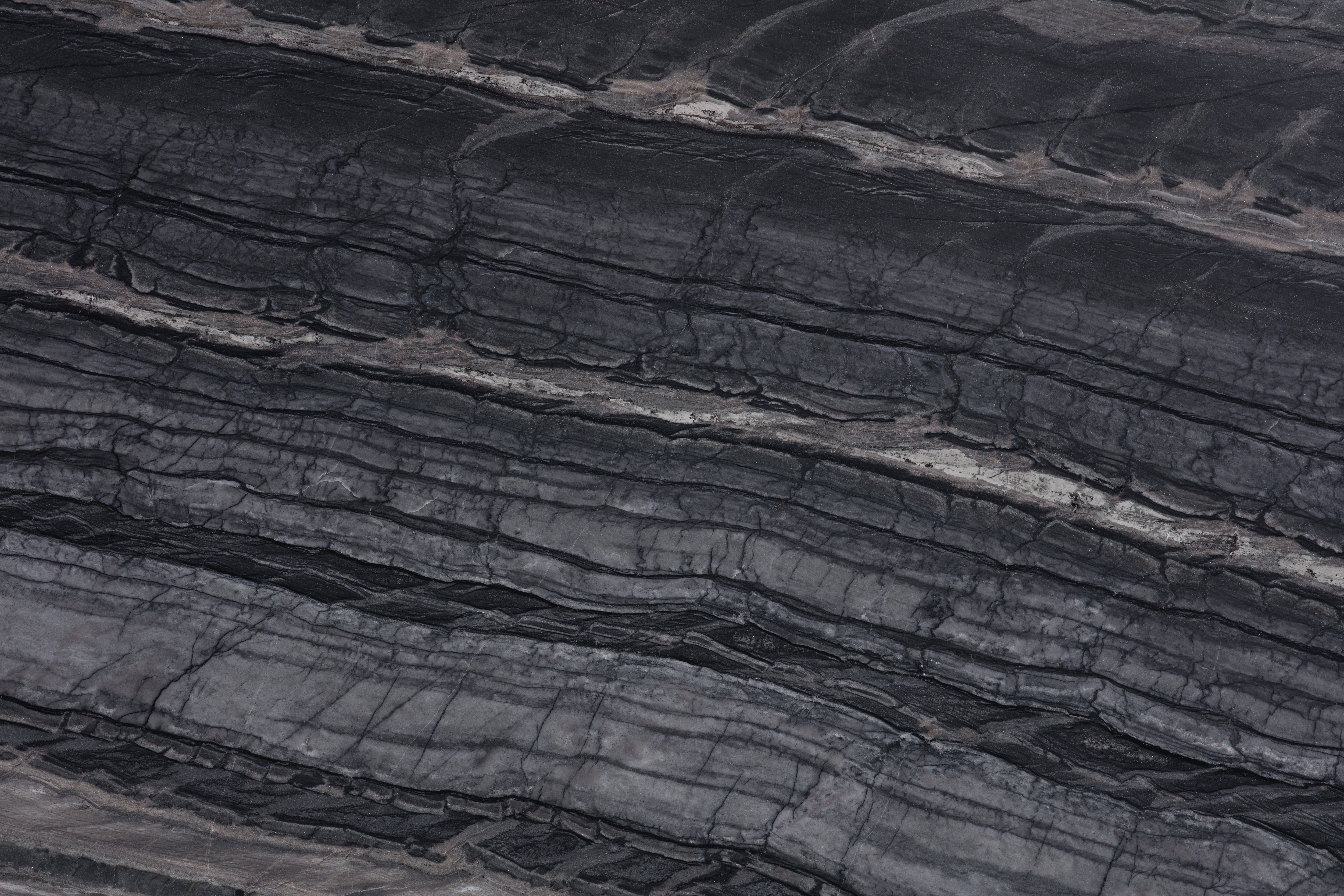 ZEBRATO - фото 4