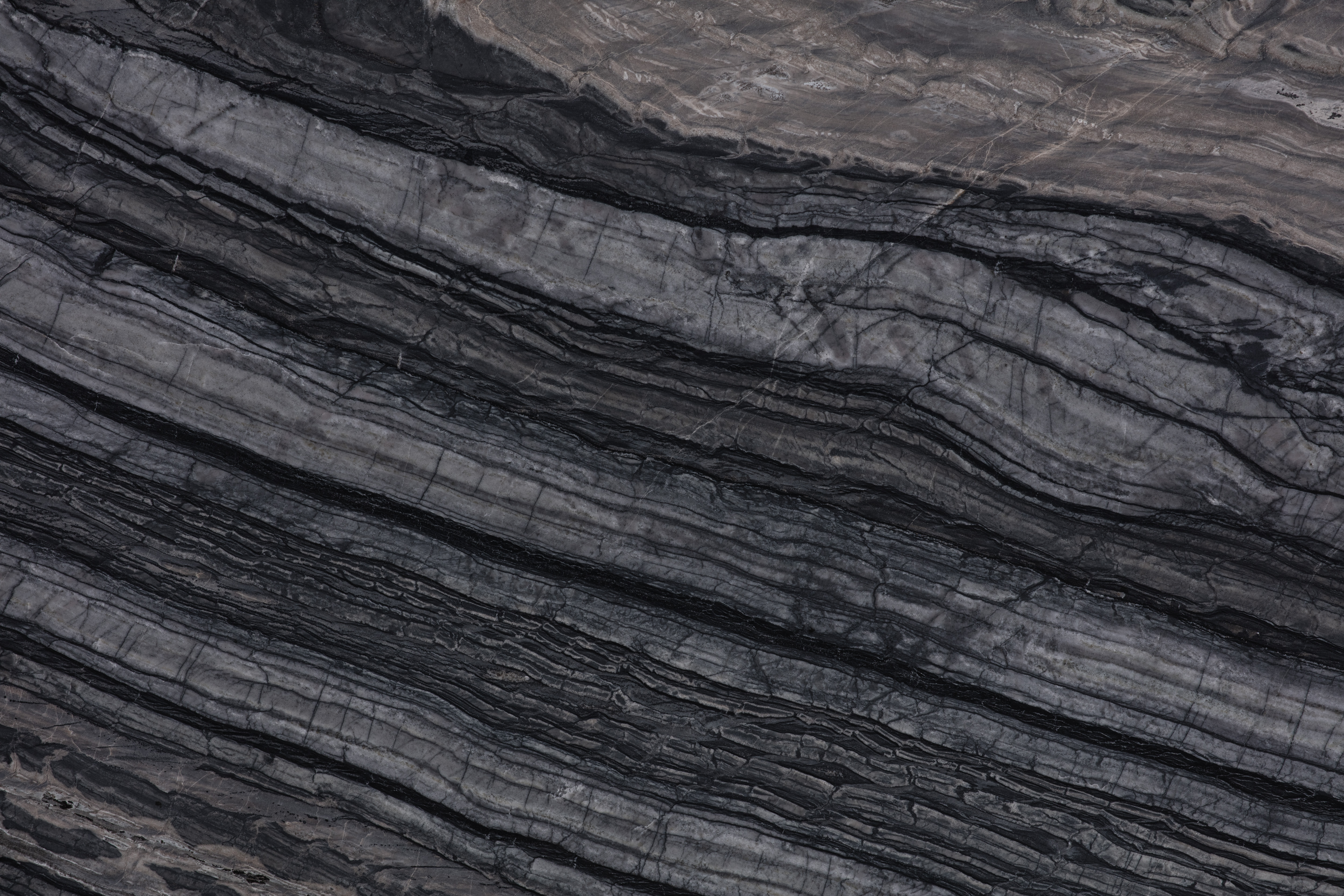 ZEBRATO - фото 5