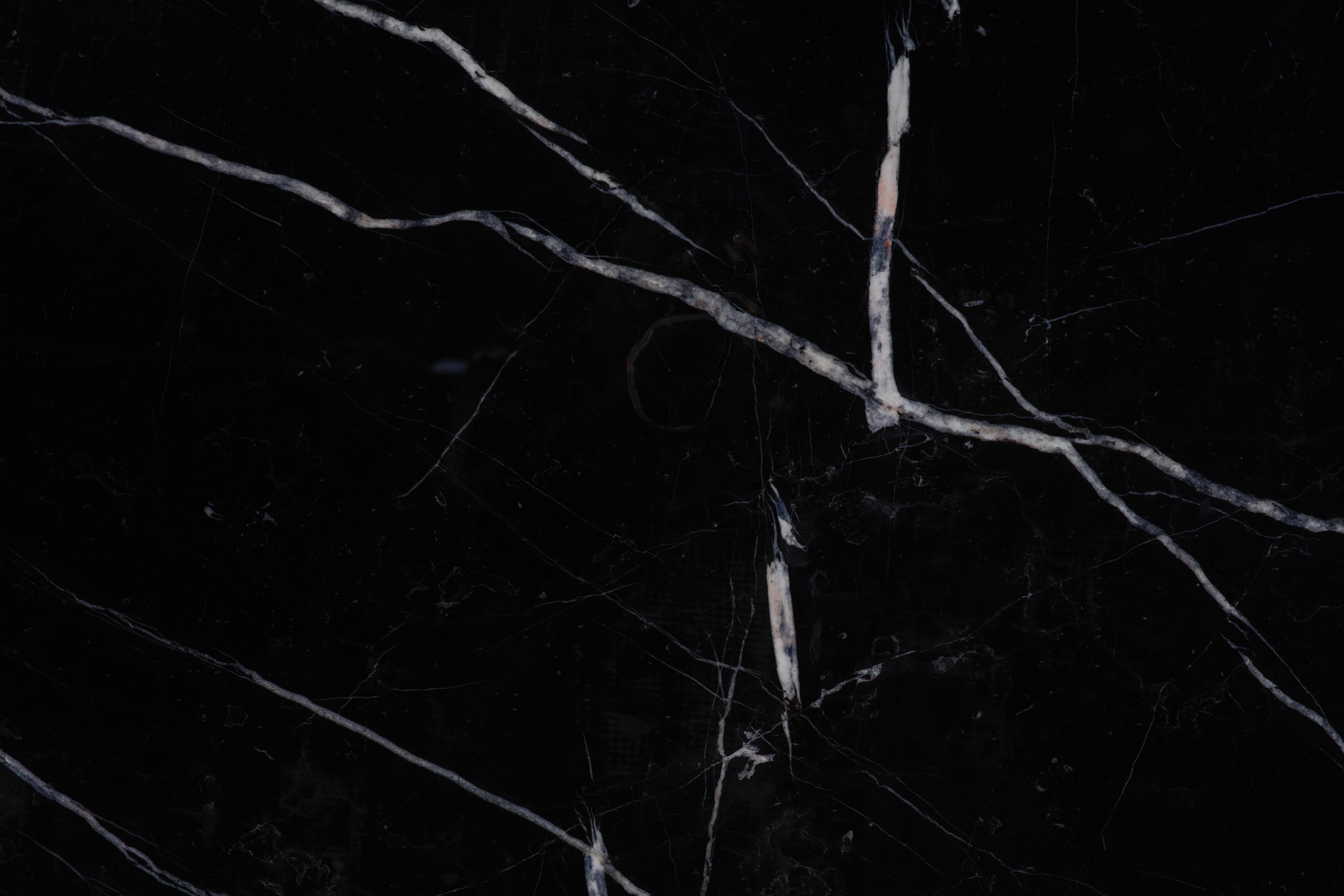 BLACK MARQUINIA - фото 2 BLACK MARQUINIA - фото 2