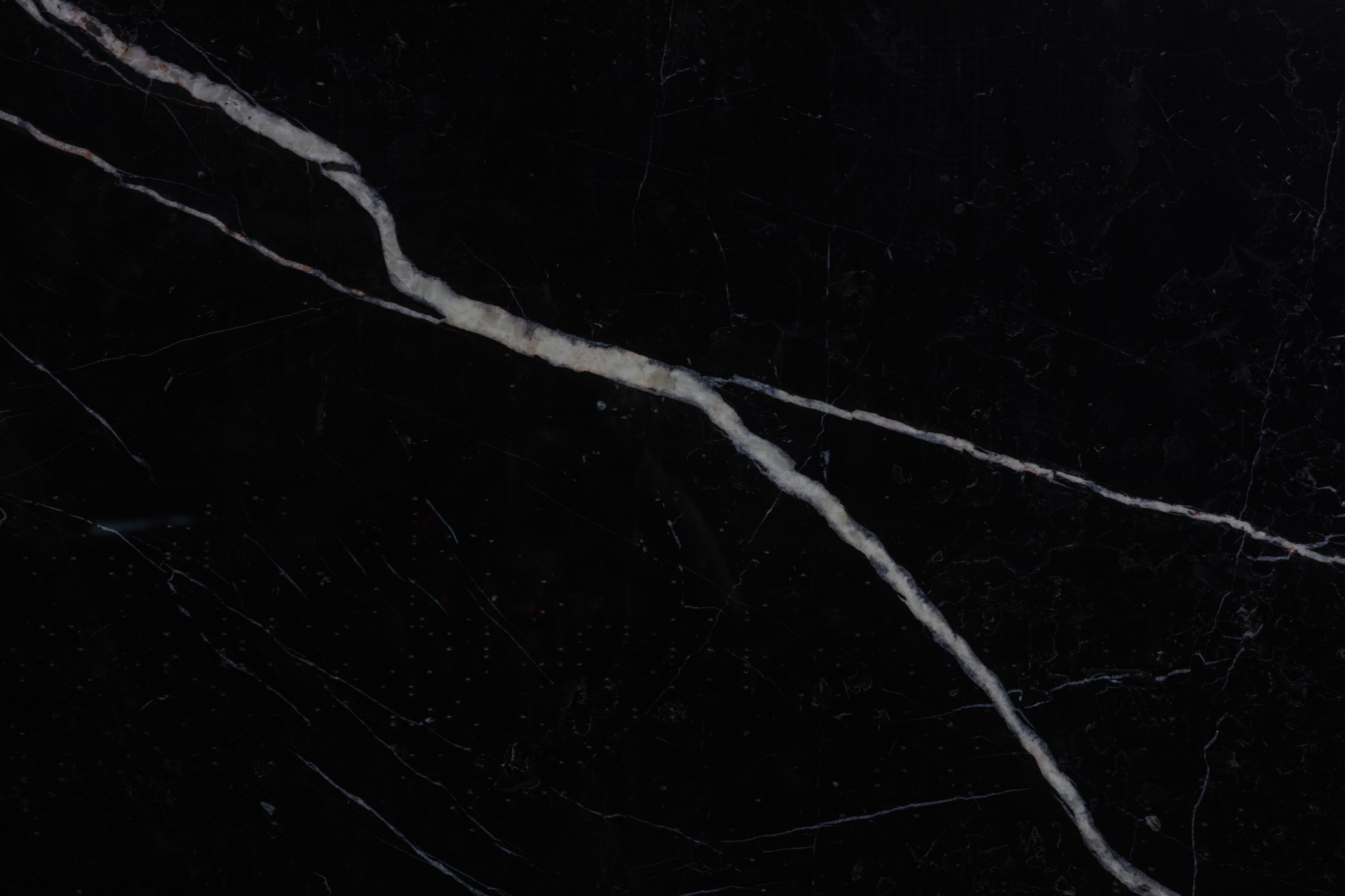 BLACK MARQUINIA - фото 4 BLACK MARQUINIA - фото 4