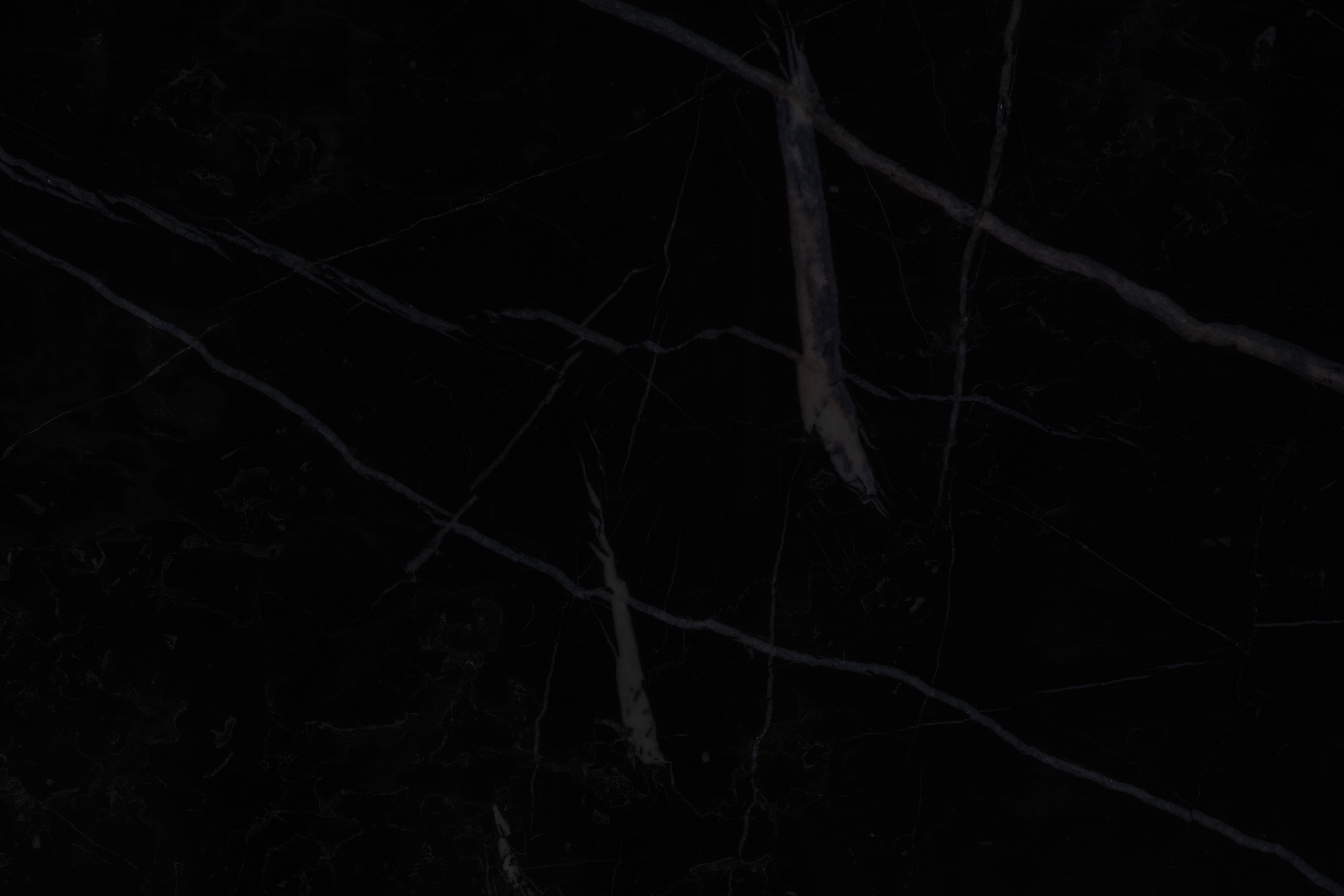 BLACK MARQUINIA - фото 5 BLACK MARQUINIA - фото 5