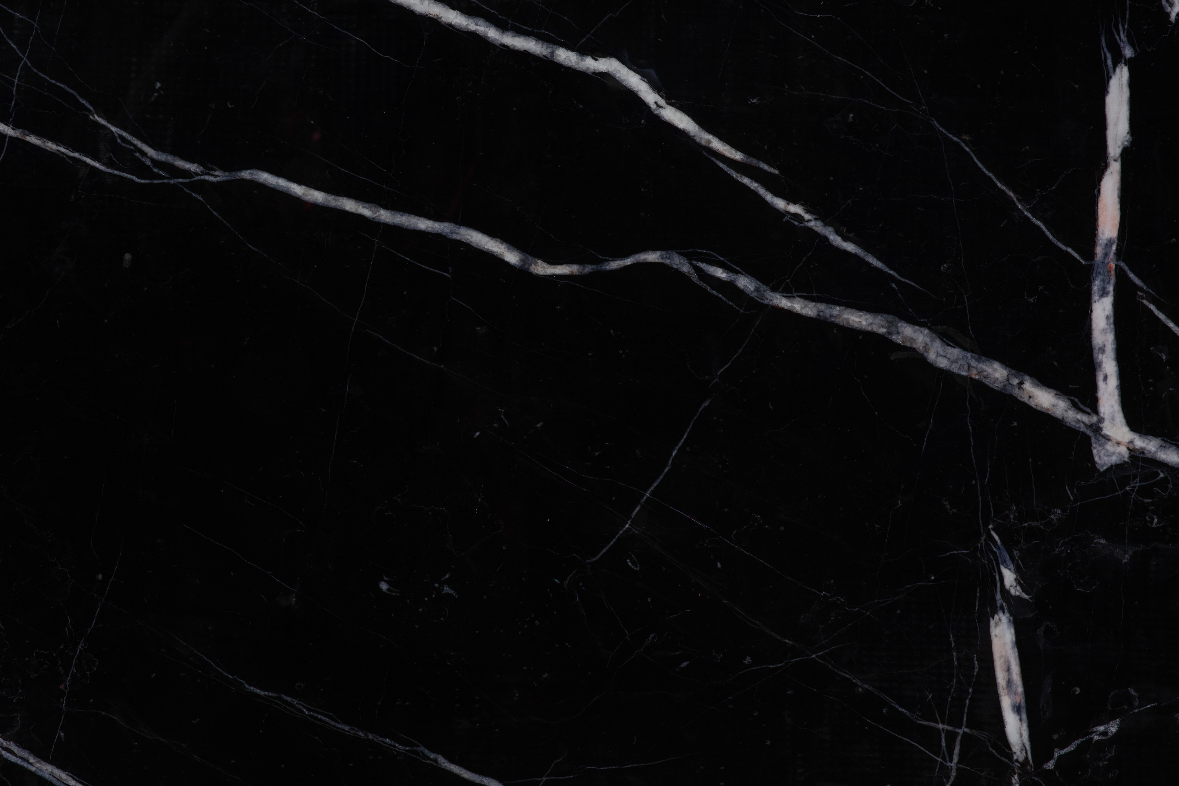 BLACK MARQUINIA - фото 6 BLACK MARQUINIA - фото 6