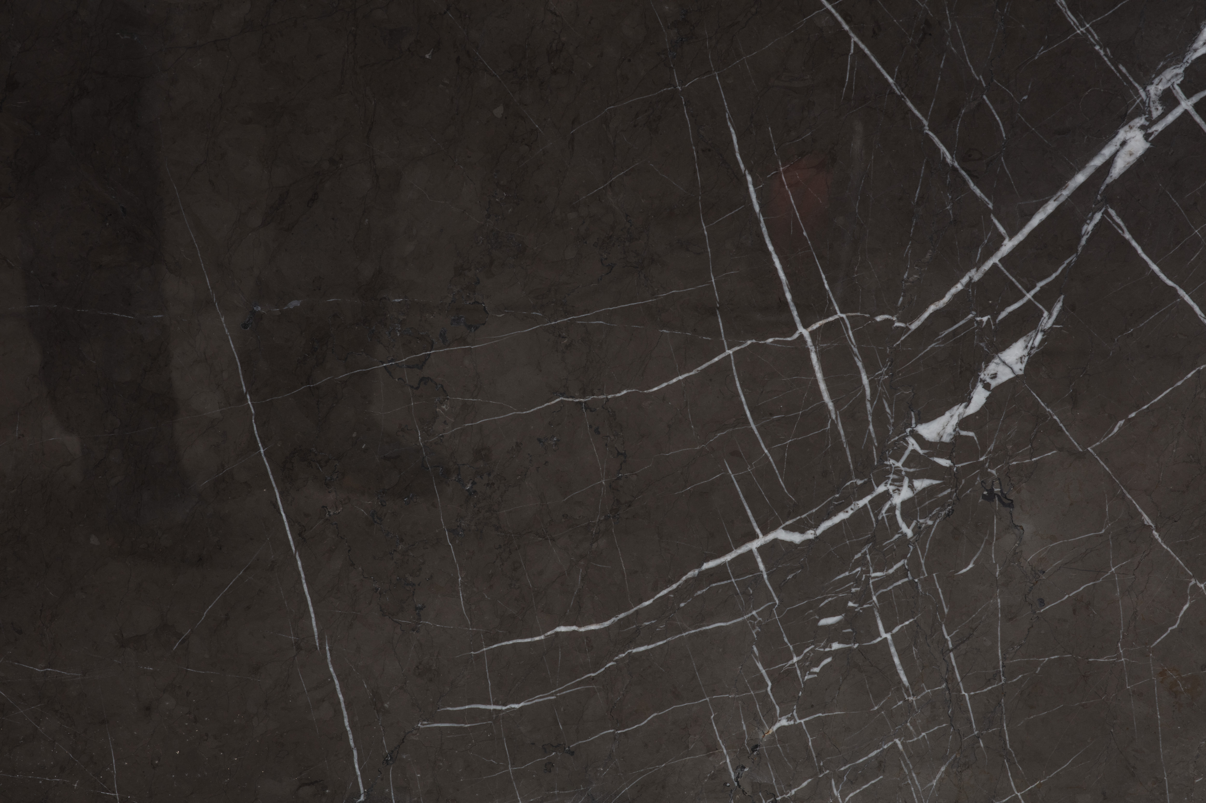 PIETRA GREY - фото 5