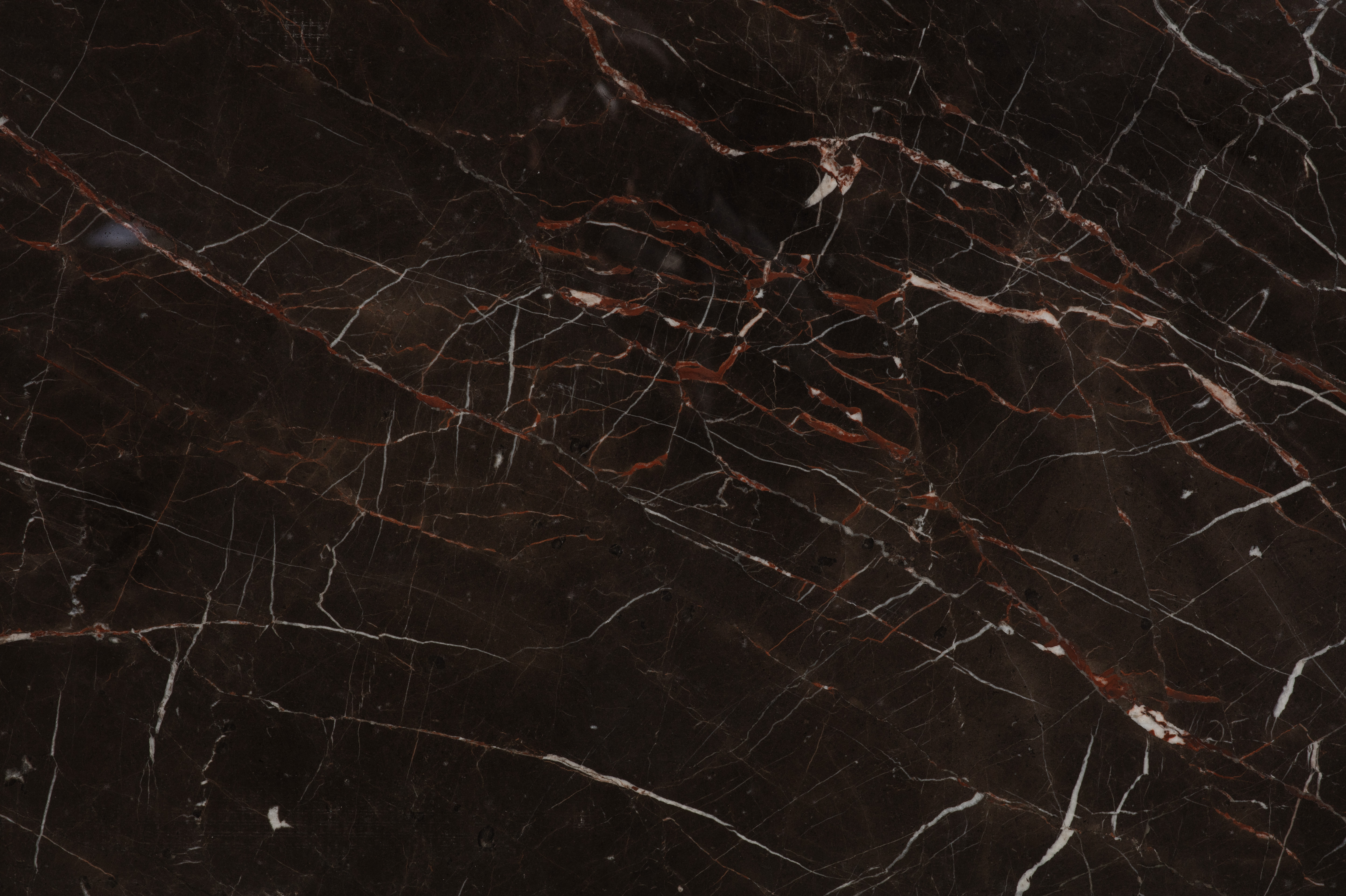 SAINT LAURENT BROWN - фото 3 SAINT LAURENT BROWN - фото 3