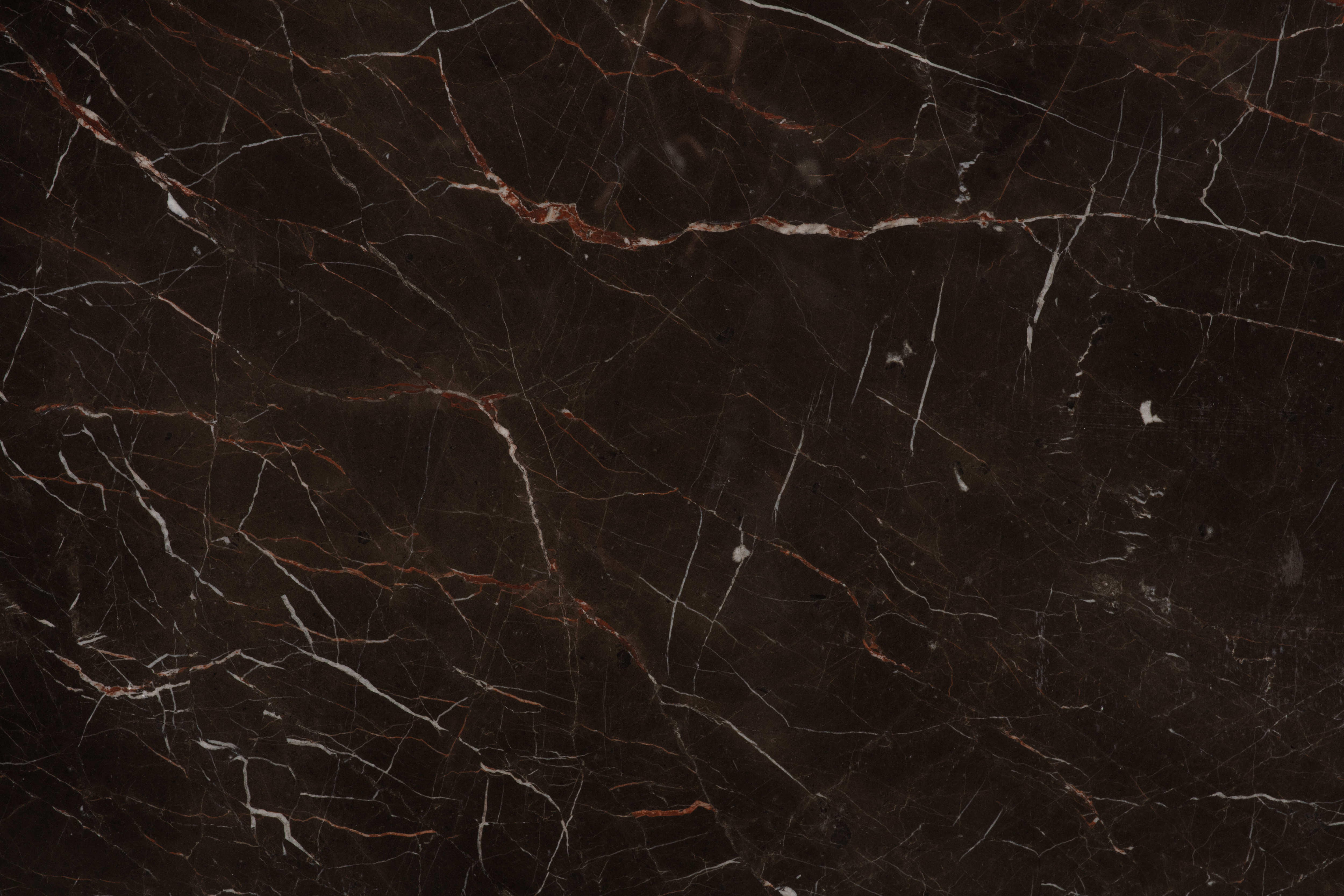 SAINT LAURENT BROWN - фото 4 SAINT LAURENT BROWN - фото 4