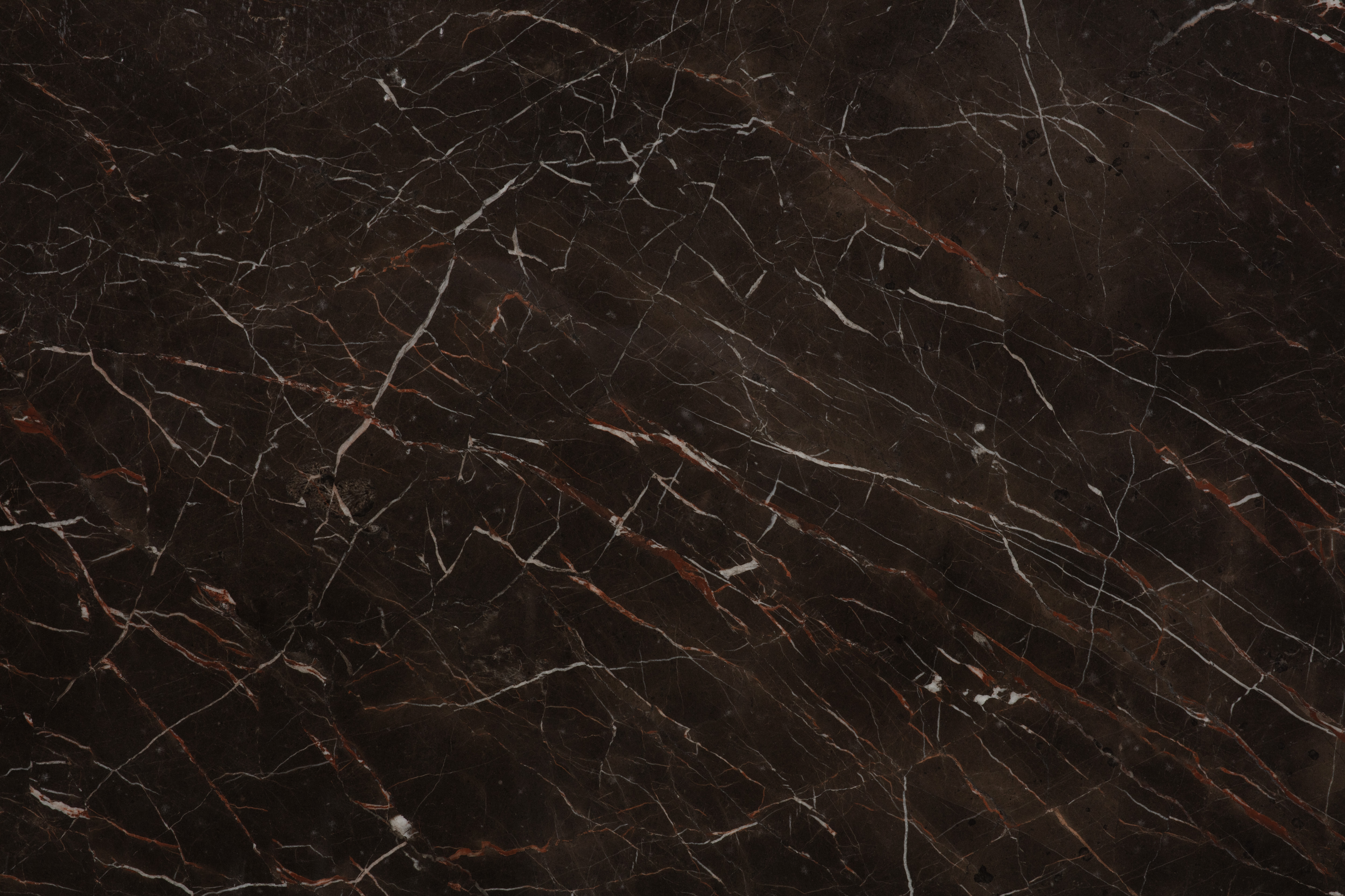 SAINT LAURENT BROWN - фото 5 SAINT LAURENT BROWN - фото 5