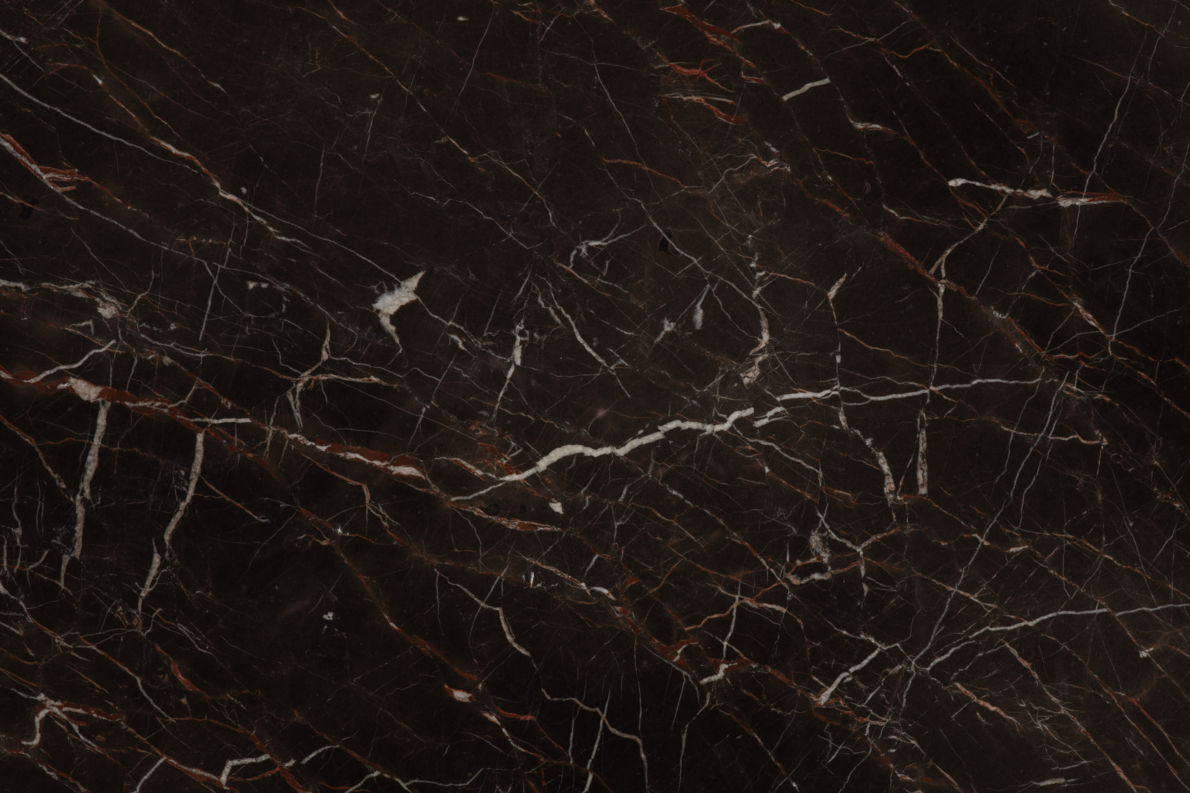 SAINT LAURENT BROWN - фото 6 SAINT LAURENT BROWN - фото 6